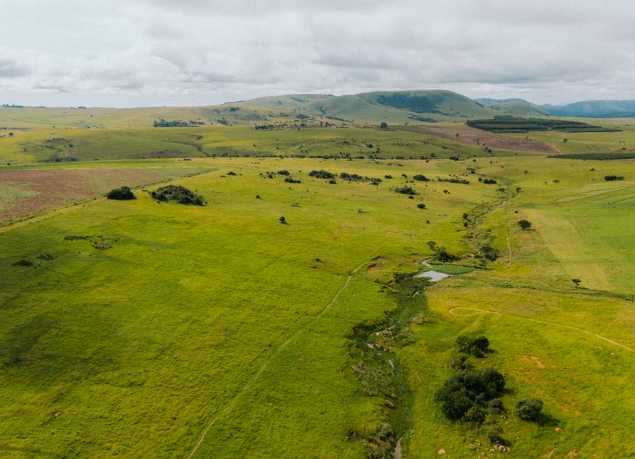 A scenic aerial view of the lush green fields in Piet Retief, South Africa.