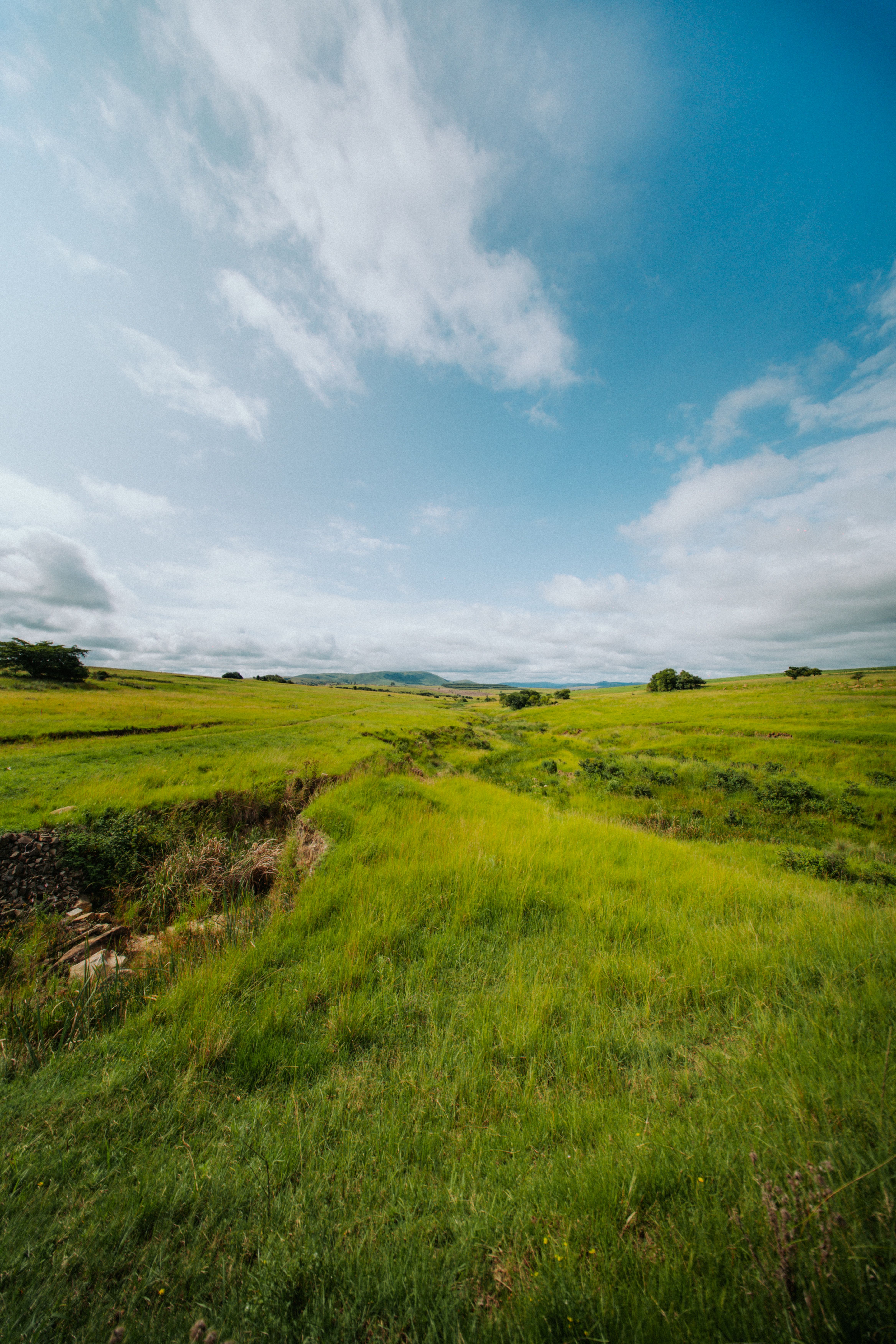 Expansive Green Landscape in South Africa · Free Stock Photo