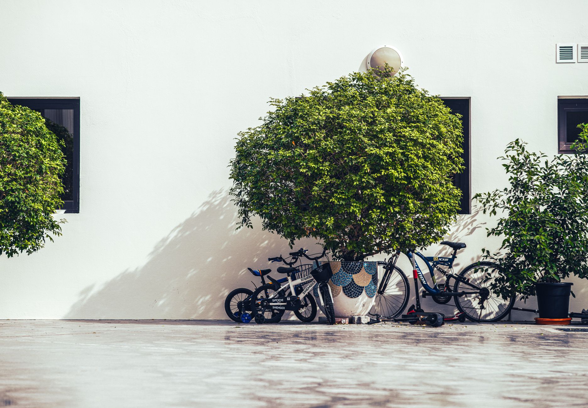 Moverse en Bicicleta por las Ciudades de Emiratos Árabes