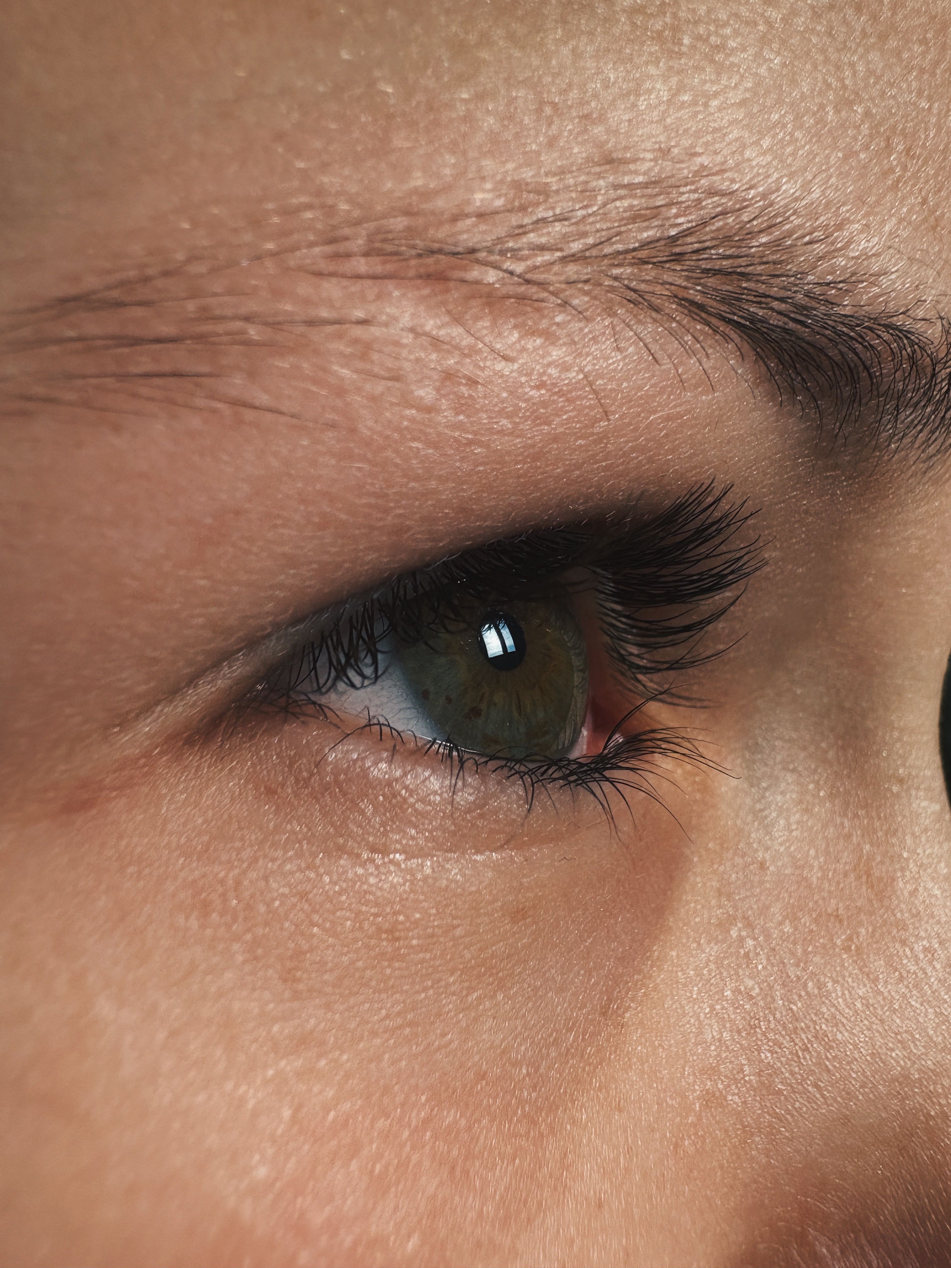 Detailed side view of a human eye highlighting eyelashes and eyebrows.