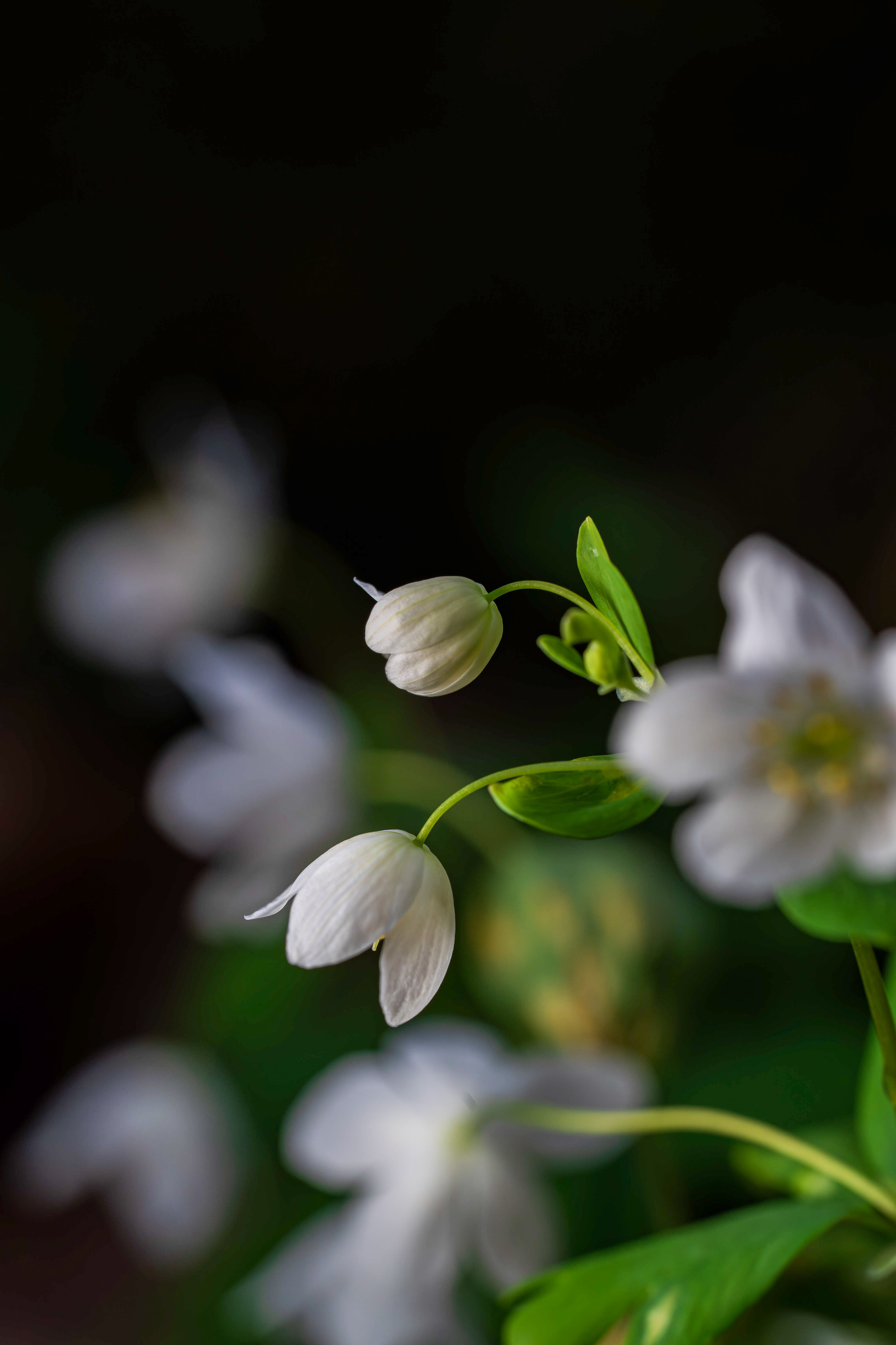 Nature Nurtures Photos, Download The BEST Free Nature Nurtures Stock ...