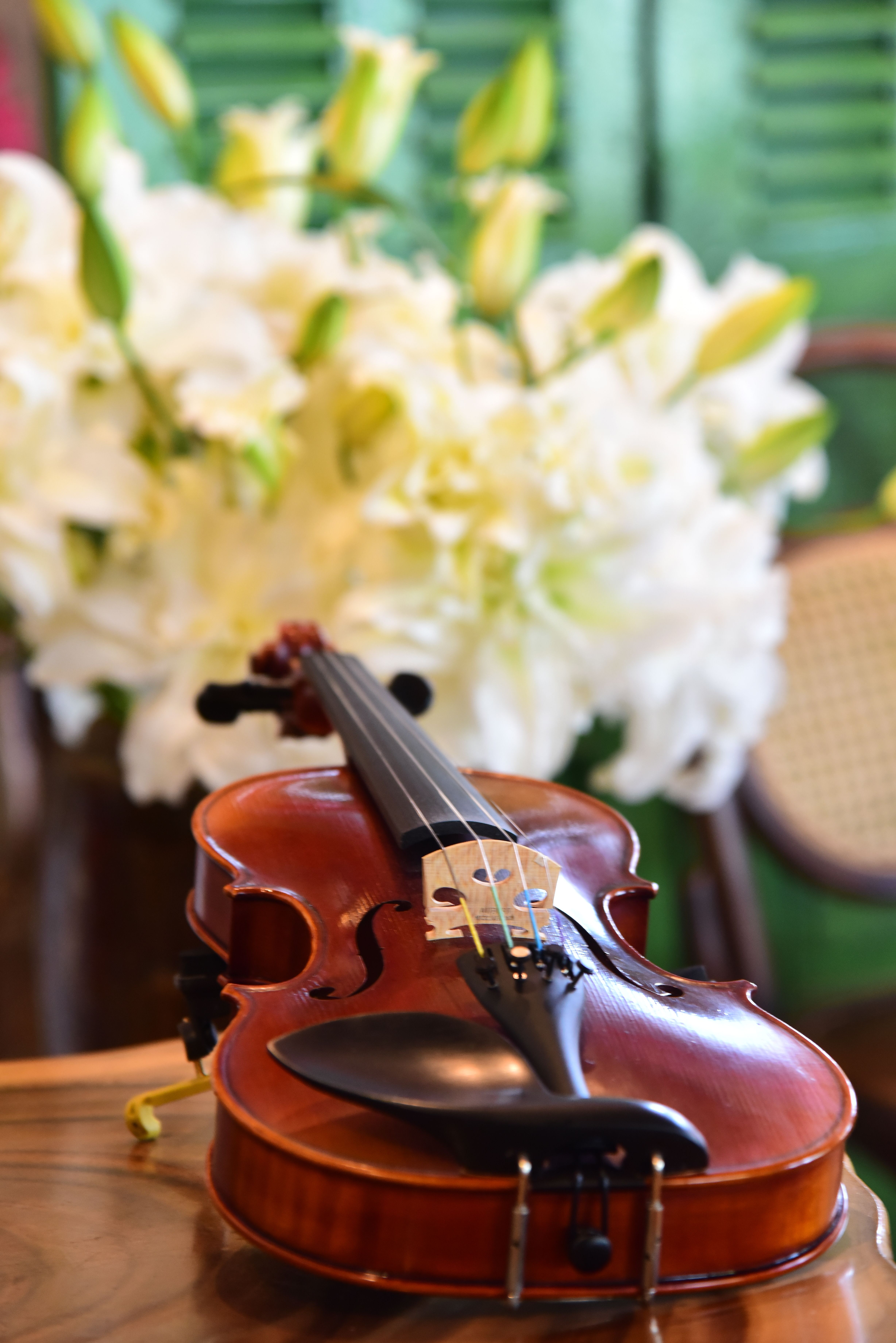 Close-up of a violin placed in front of a bouquet of white lilies, creating a serene and artistic scene.