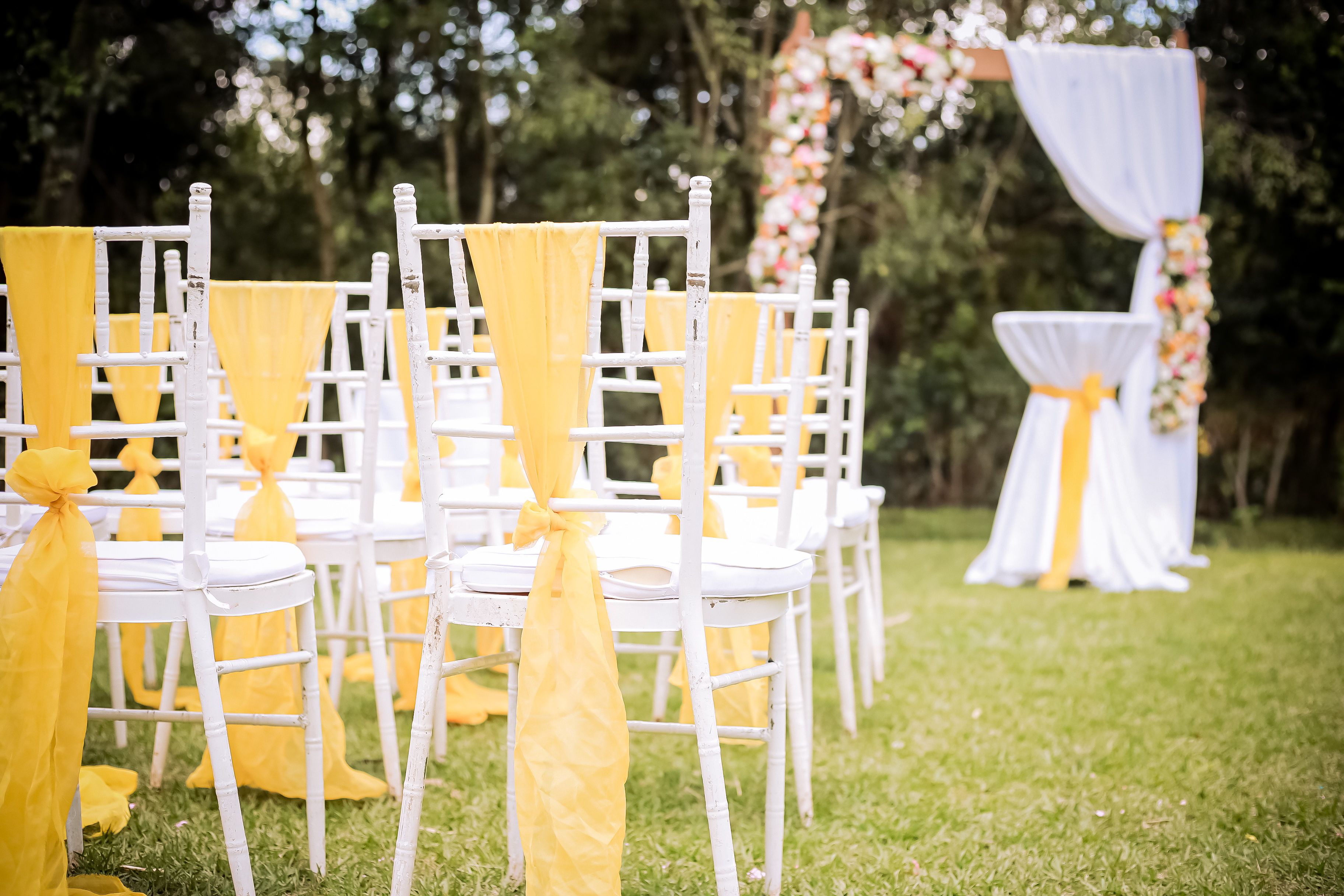 Charming outdoor wedding setup with yellow-themed decor and floral archway.