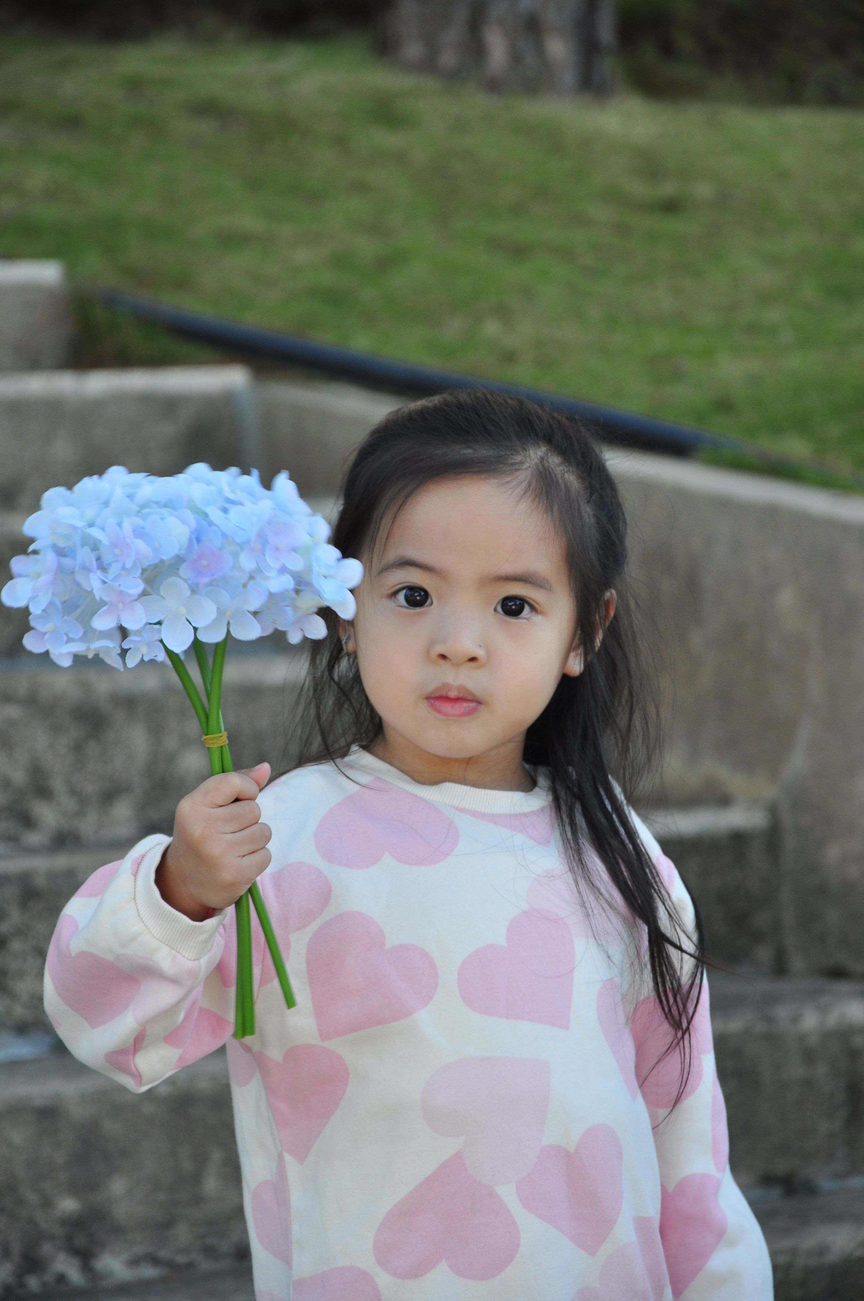 Cute young girl holding a hydrangea in an outdoor setting. Perfect for playful childhood themes.