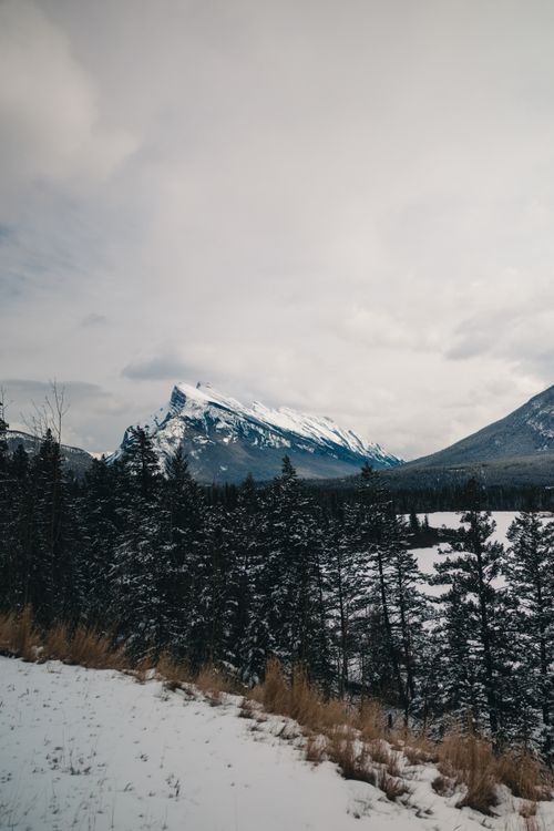 Free Scenic winter view of snow-capped mountains and pine trees in Banff National Park, Canada. Stock Photo