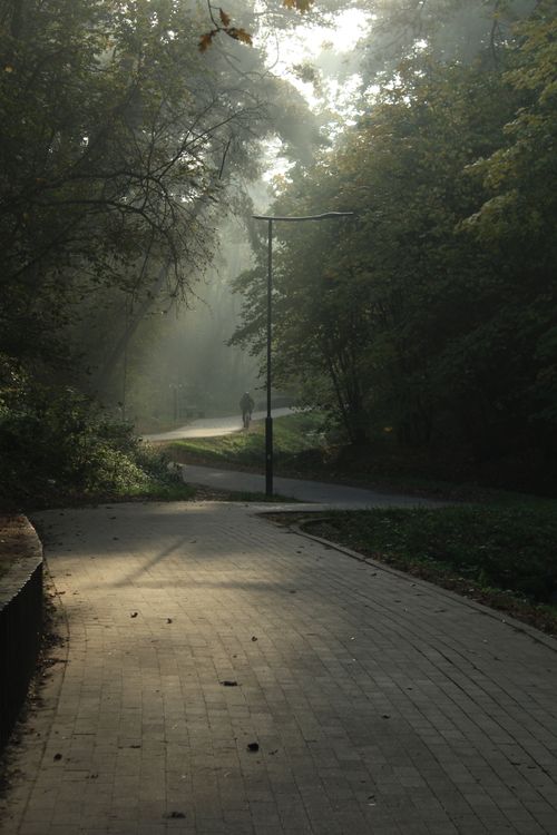 Free A serene, mist-covered pathway in a lush park during springtime, capturing nature's peaceful beauty. Stock Photo