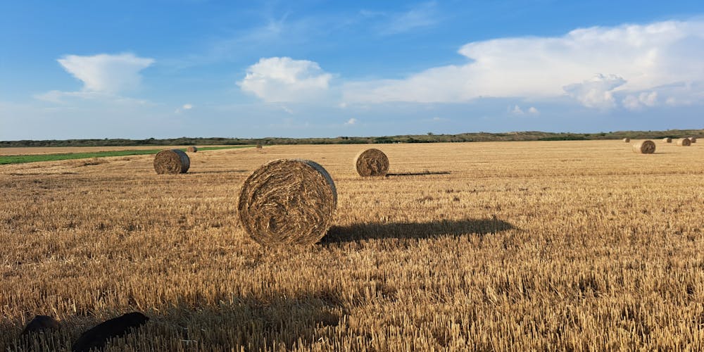 88bet - Hãy khám phá những bí mật thú vị về thế giới cá cược