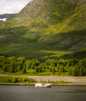 A peaceful fishing boat on a fjord with a lush green mountain backdrop under a cloudy sky.