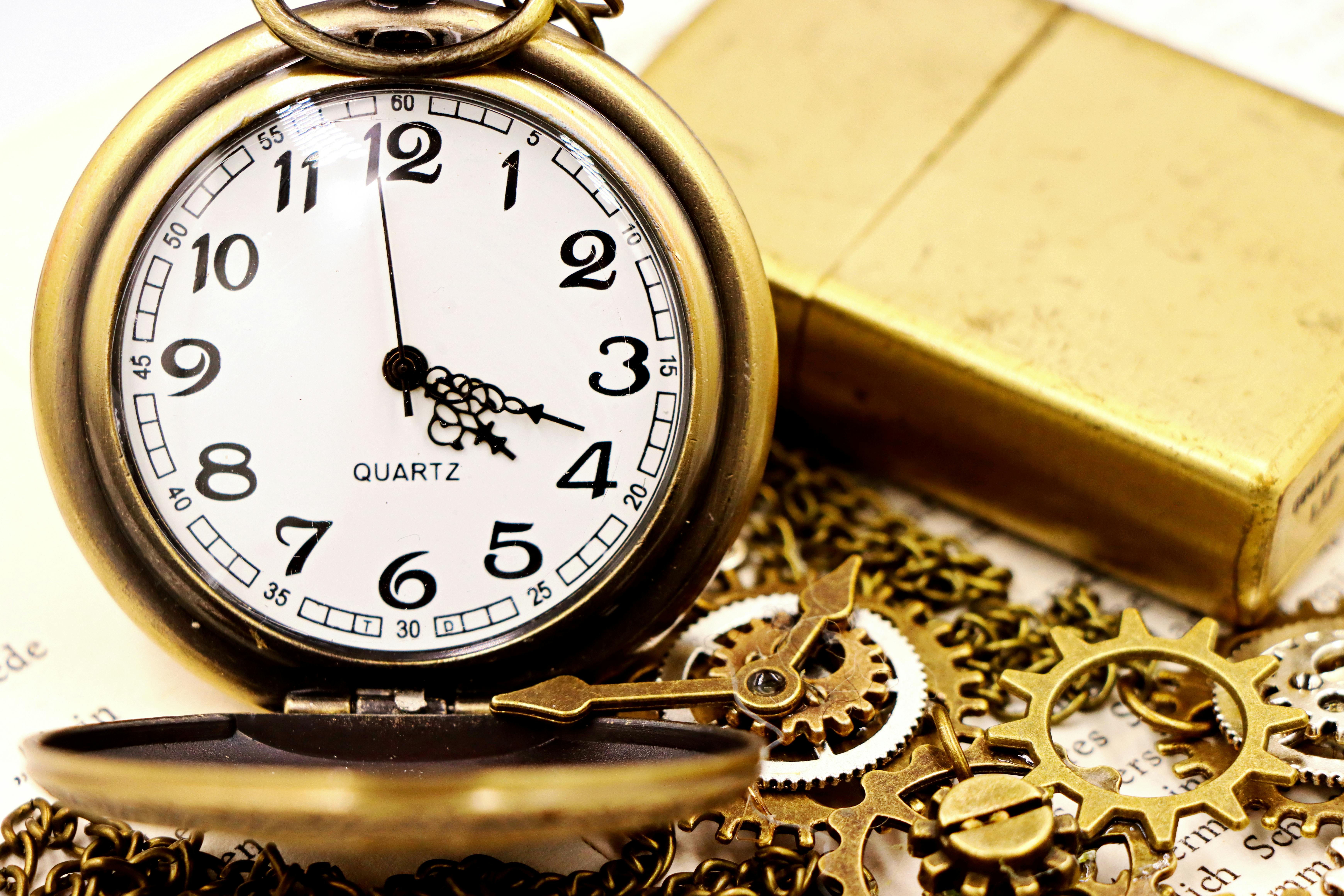 Bird Watching Past Times