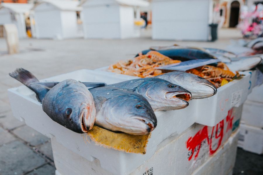 Fresh fish at market stall