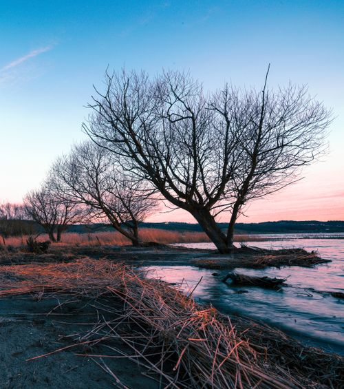 Free Peaceful lake scene at sunset with bare trees and vibrant sky. Stock Photo
