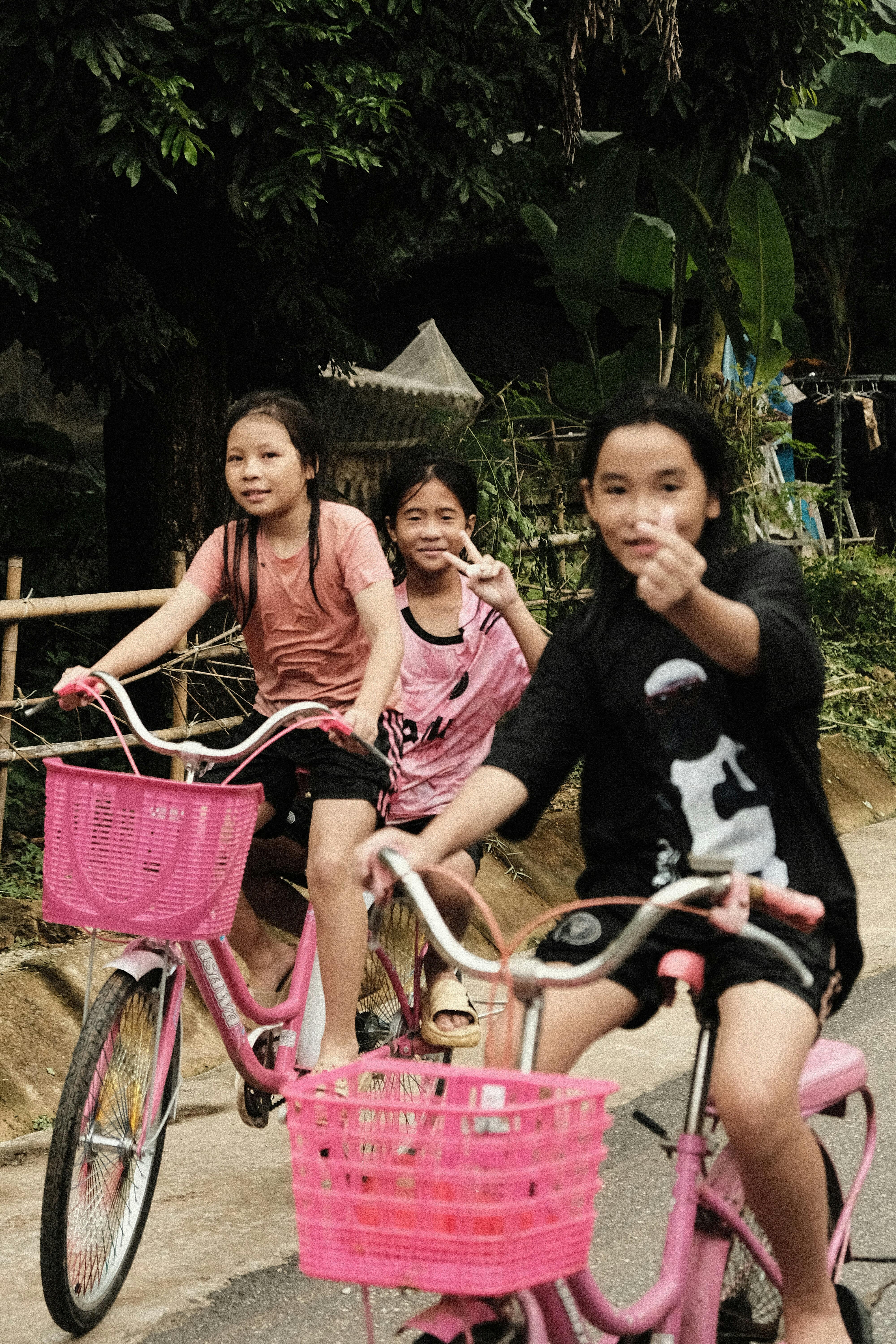 Three children ride pink bicycles on a serene countryside road.
