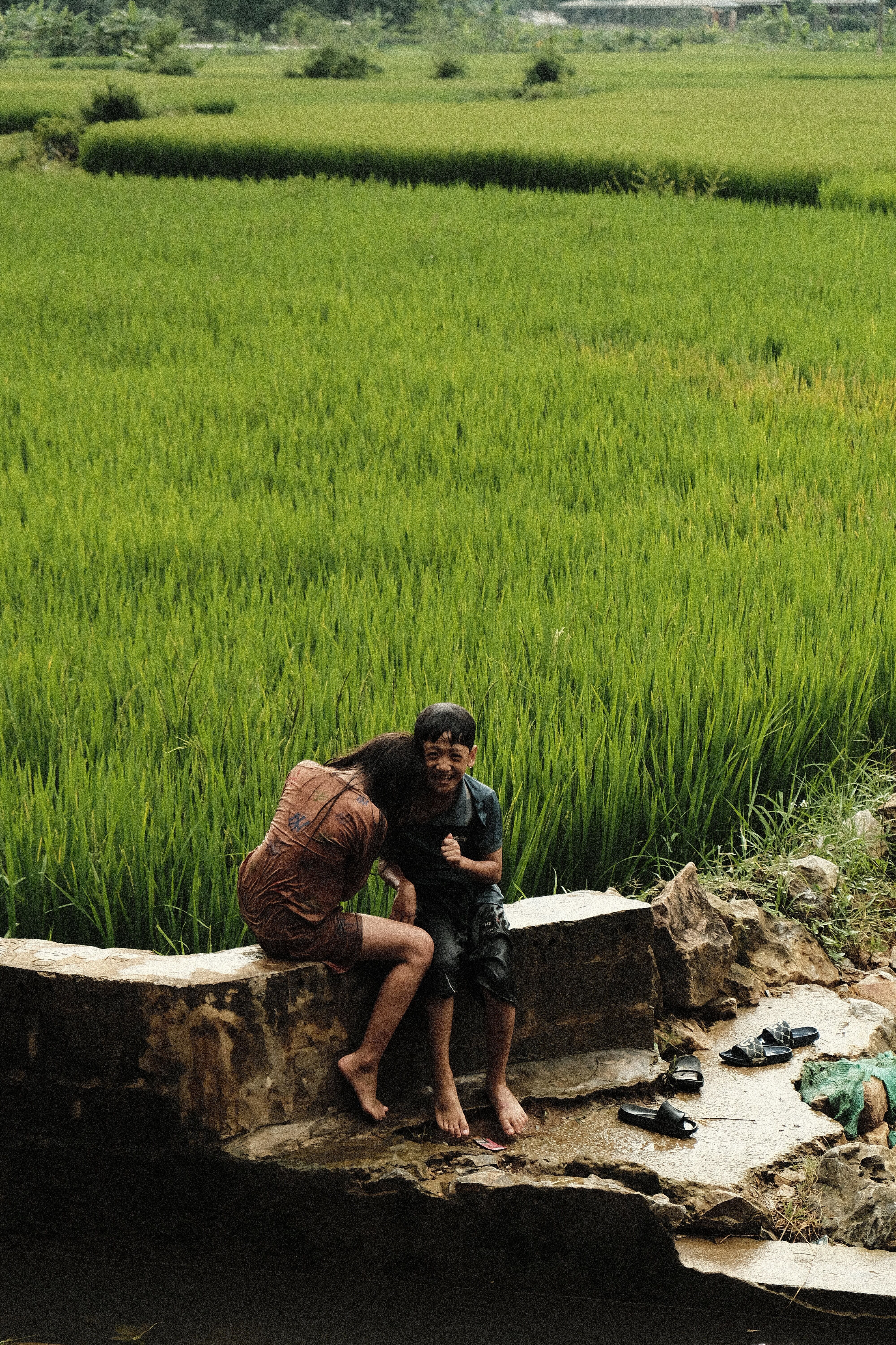 Children Enjoying Nature in a Rice Field · Free Stock Photo