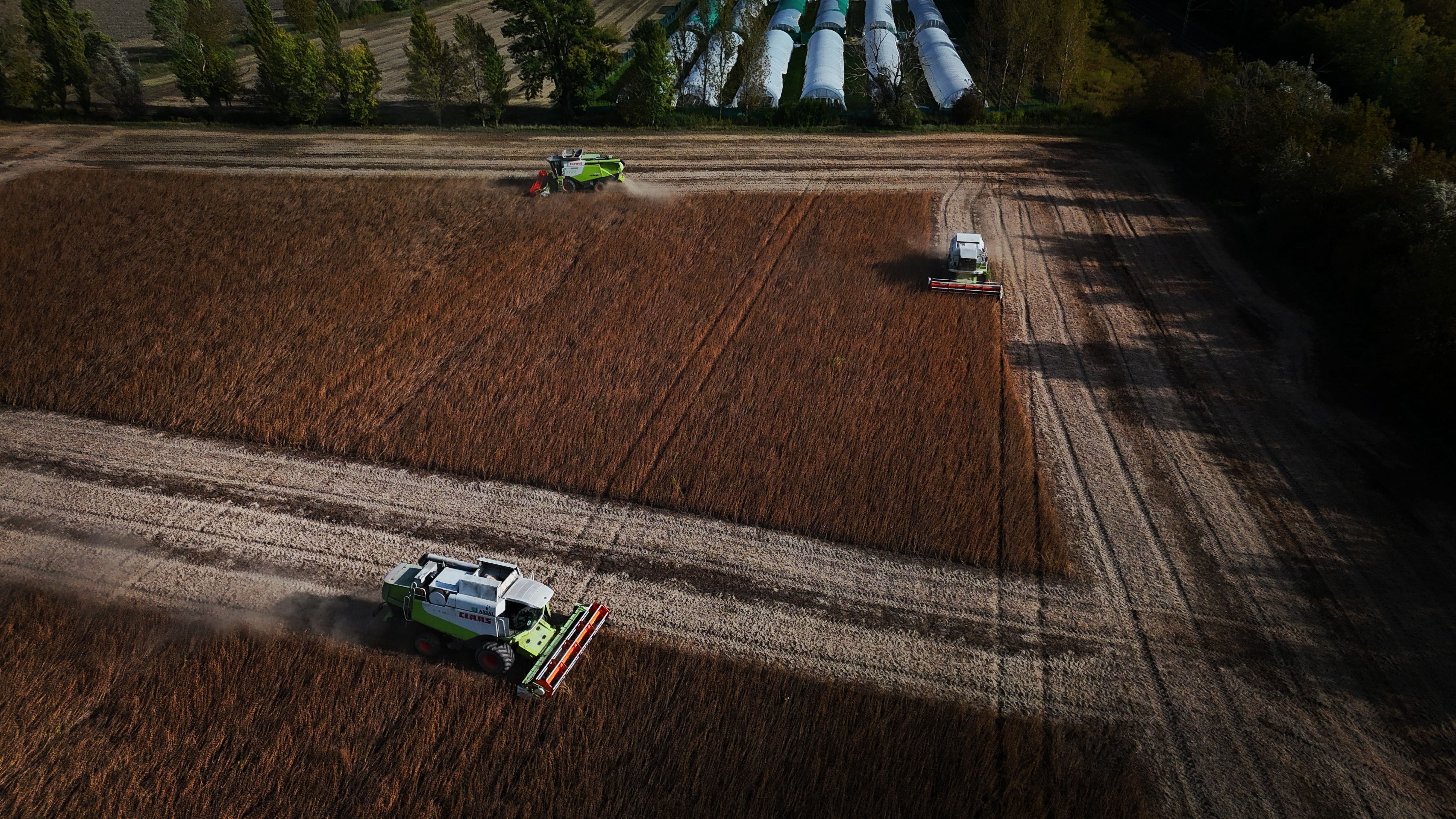 Tractors harvesting wheat in a field in Hungary, captured from above on a sunny day.
