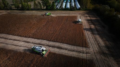 Free Tractors harvesting wheat in a field in Hungary, captured from above on a sunny day. Stock Photo