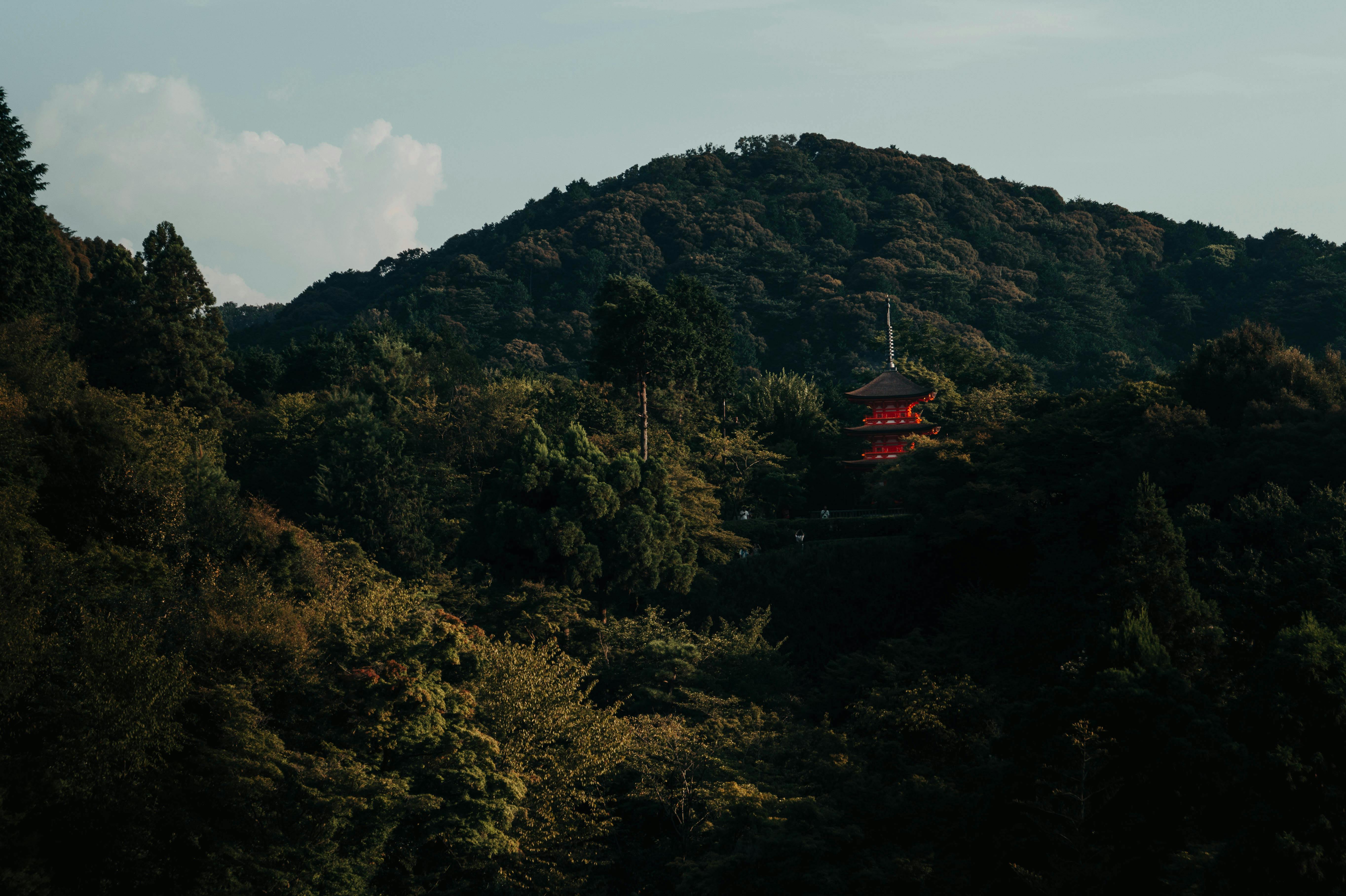 Serene landscape of Kyoto with dense forest and traditional pagoda under a clear sky.