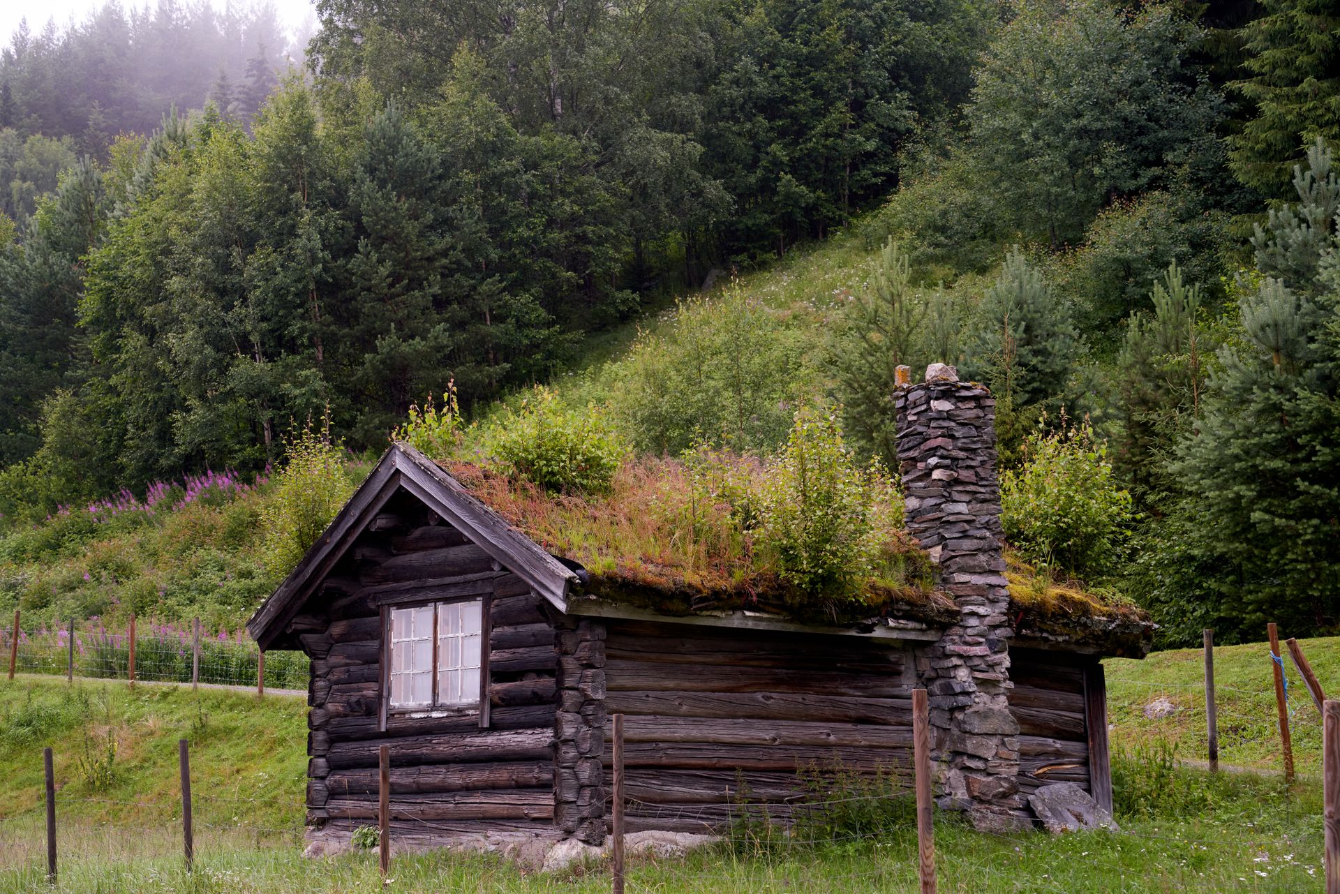 Charming log cabin in a peaceful, rural Norwegian landscape with a grass roof.