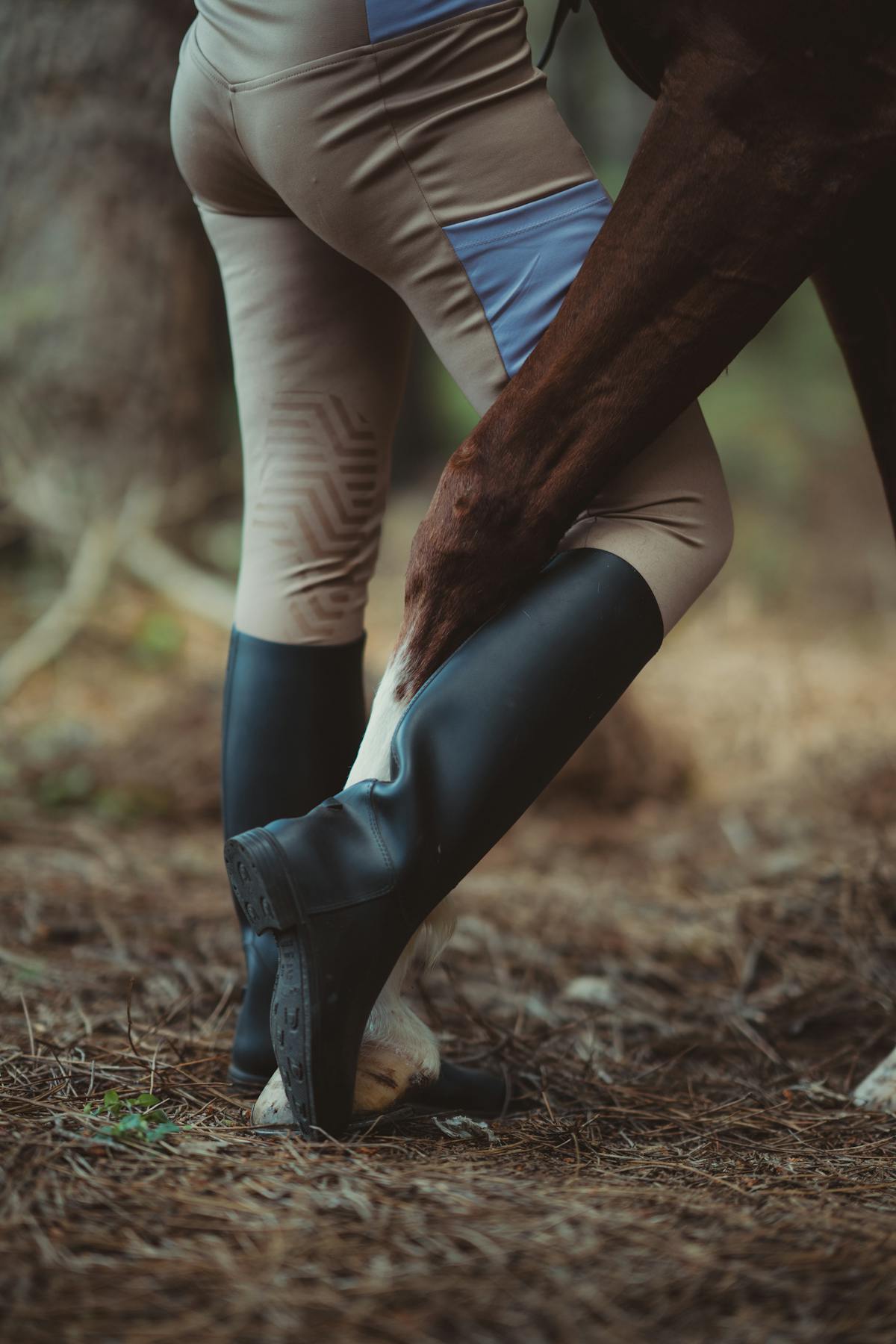 Attrezzatura per equitazione come hobby: casco, pantaloni, stivali e guanti.