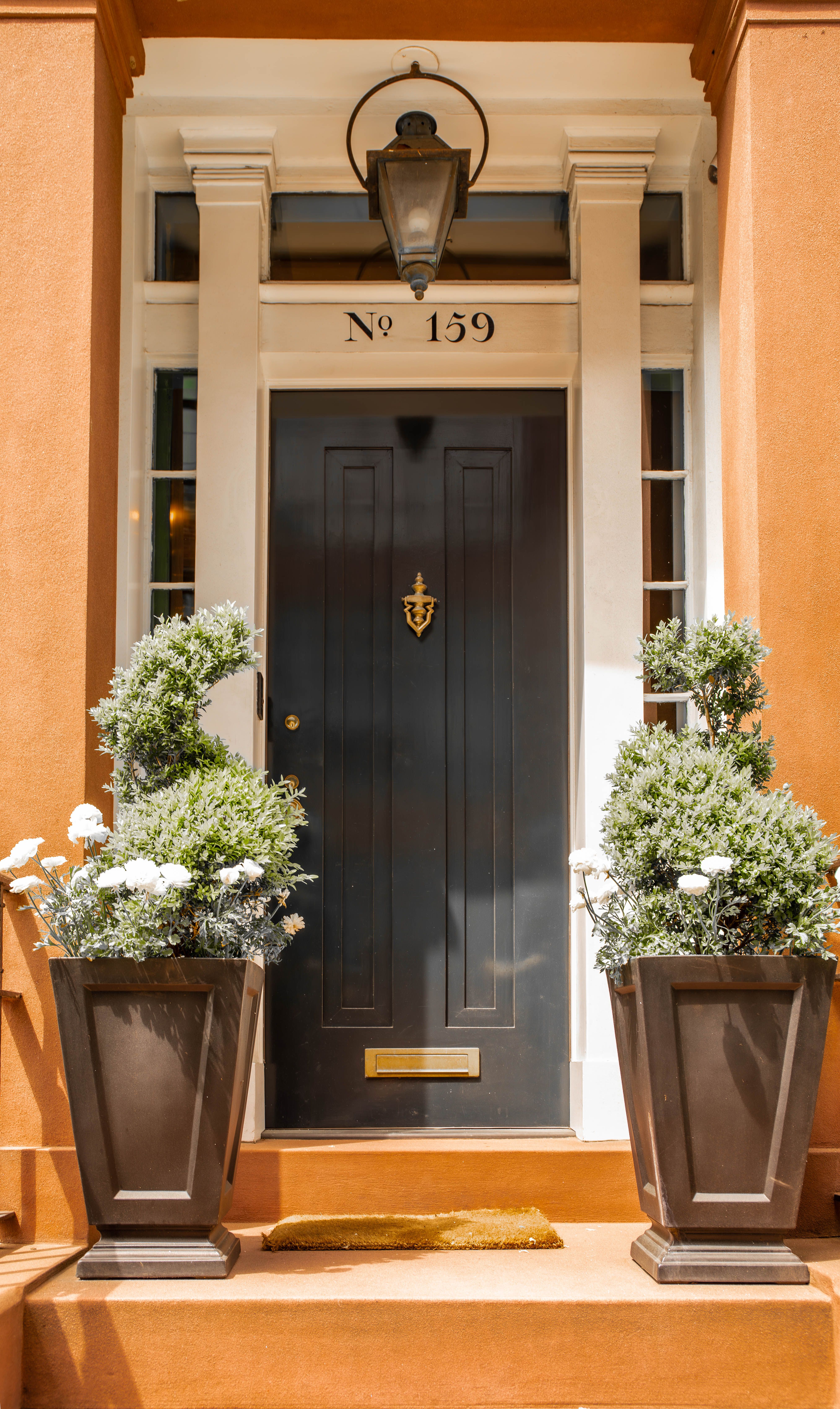 Elegant Entrance with Black Door and Potted Plants · Free Stock Photo