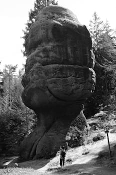 Black and white photograph of a unique rock formation surrounded by a tranquil forest setting.