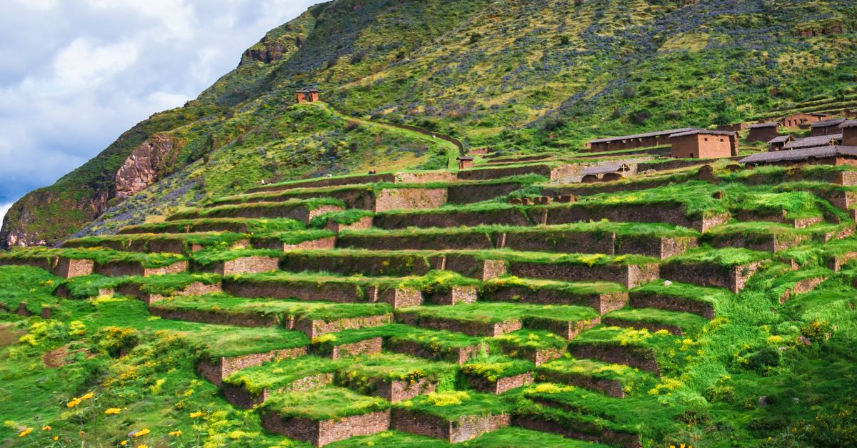 Inca Civilization Faring Cuzco's Inca Terraced Farming Landscape · Free Stock Photo
