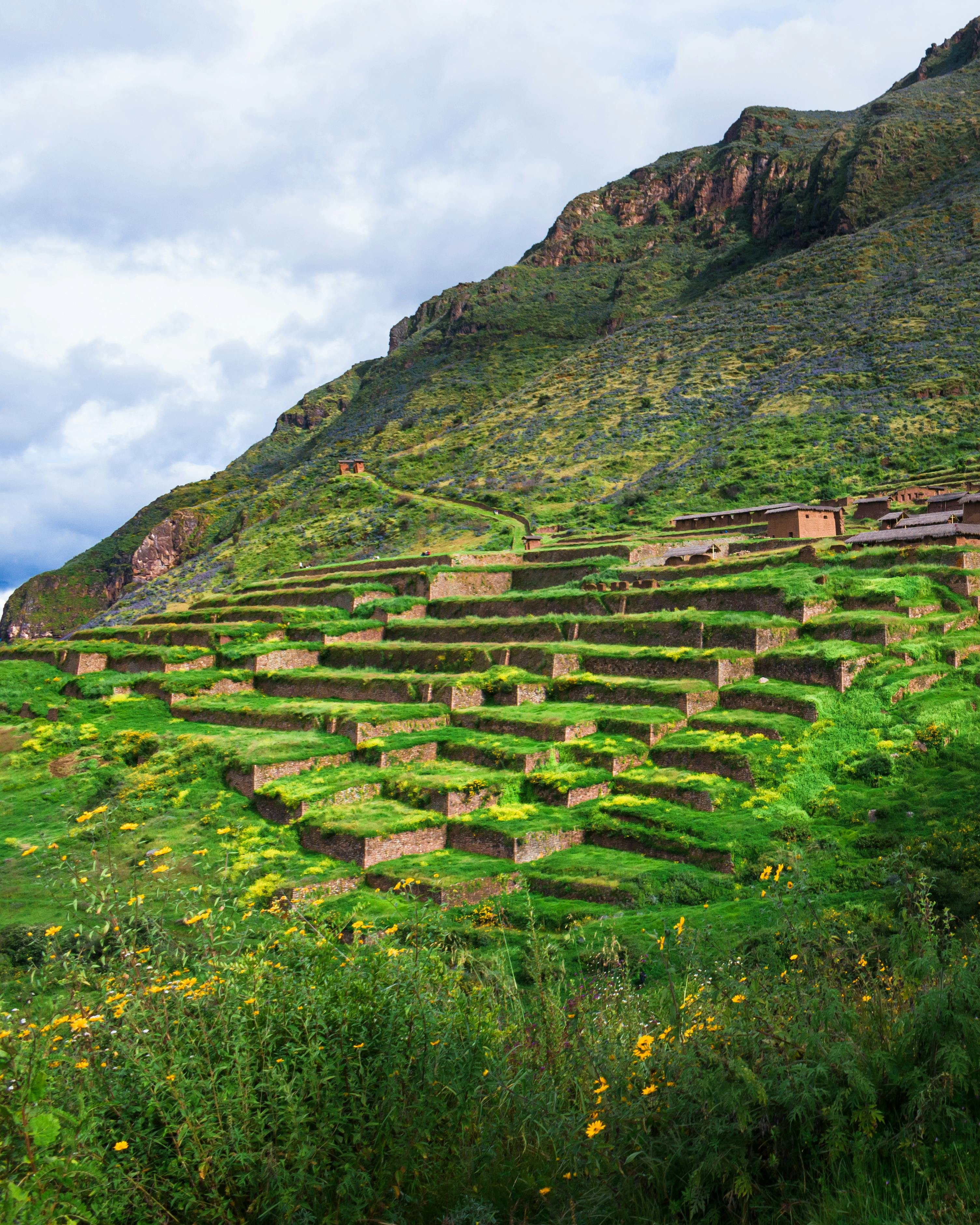 Free Stunning view of Inca agricultural terraces in Cuzco, Peru, showcasing ancient engineering. Stock Photo