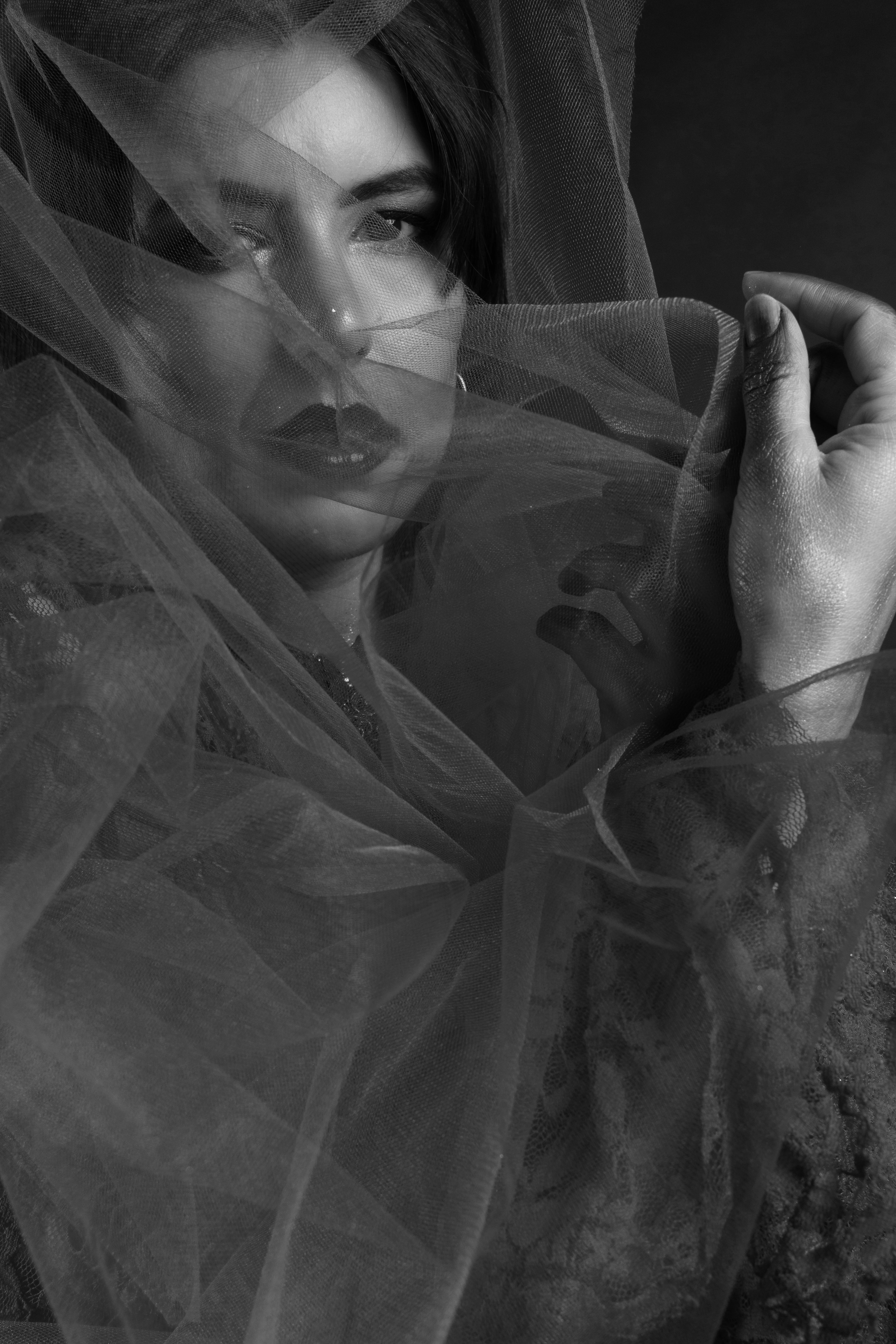 Elegant Woman Shrouded in Veil Black and White Portrait · Free Stock Photo