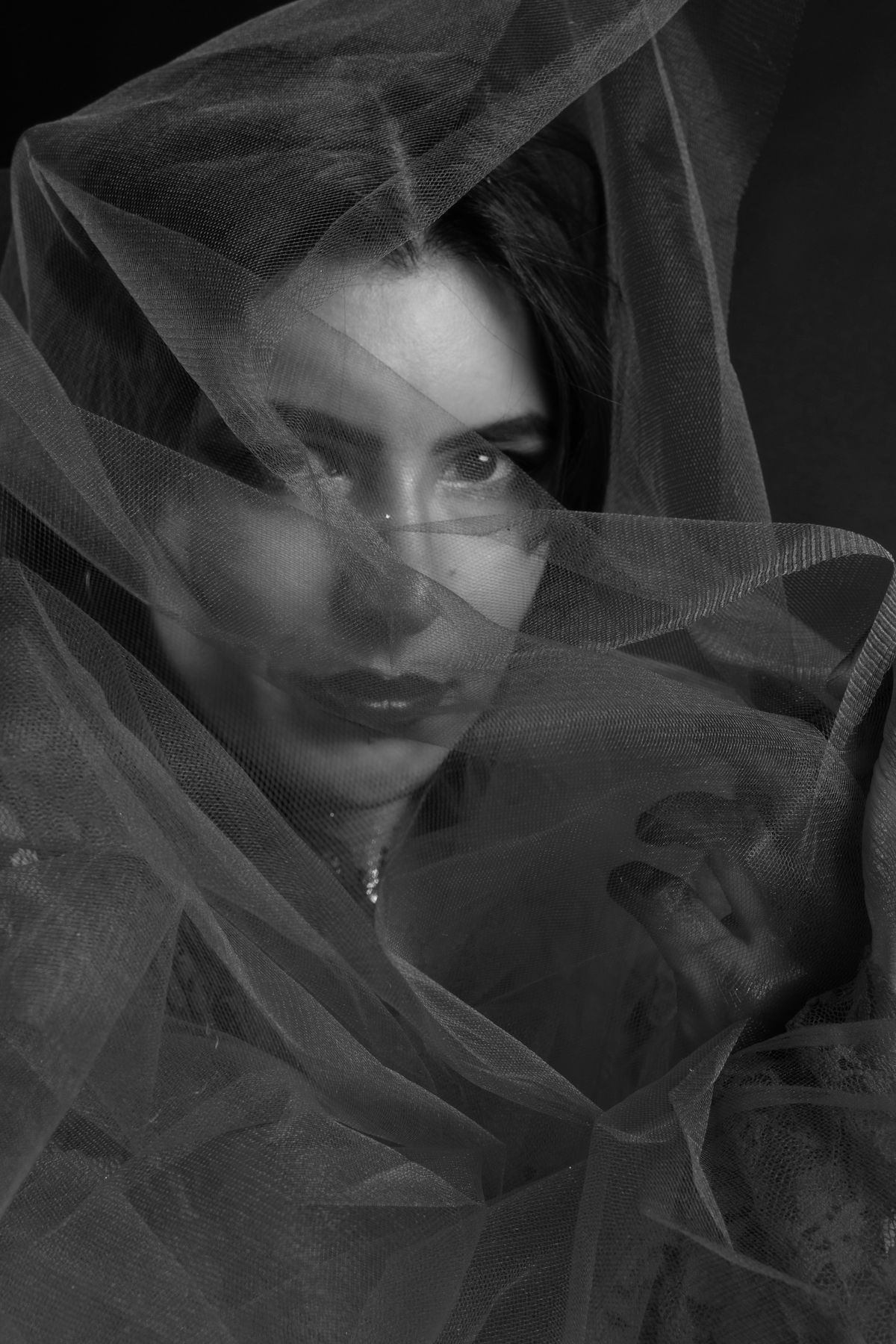 Woman Face under Veil in Black and White · Free Stock Photo