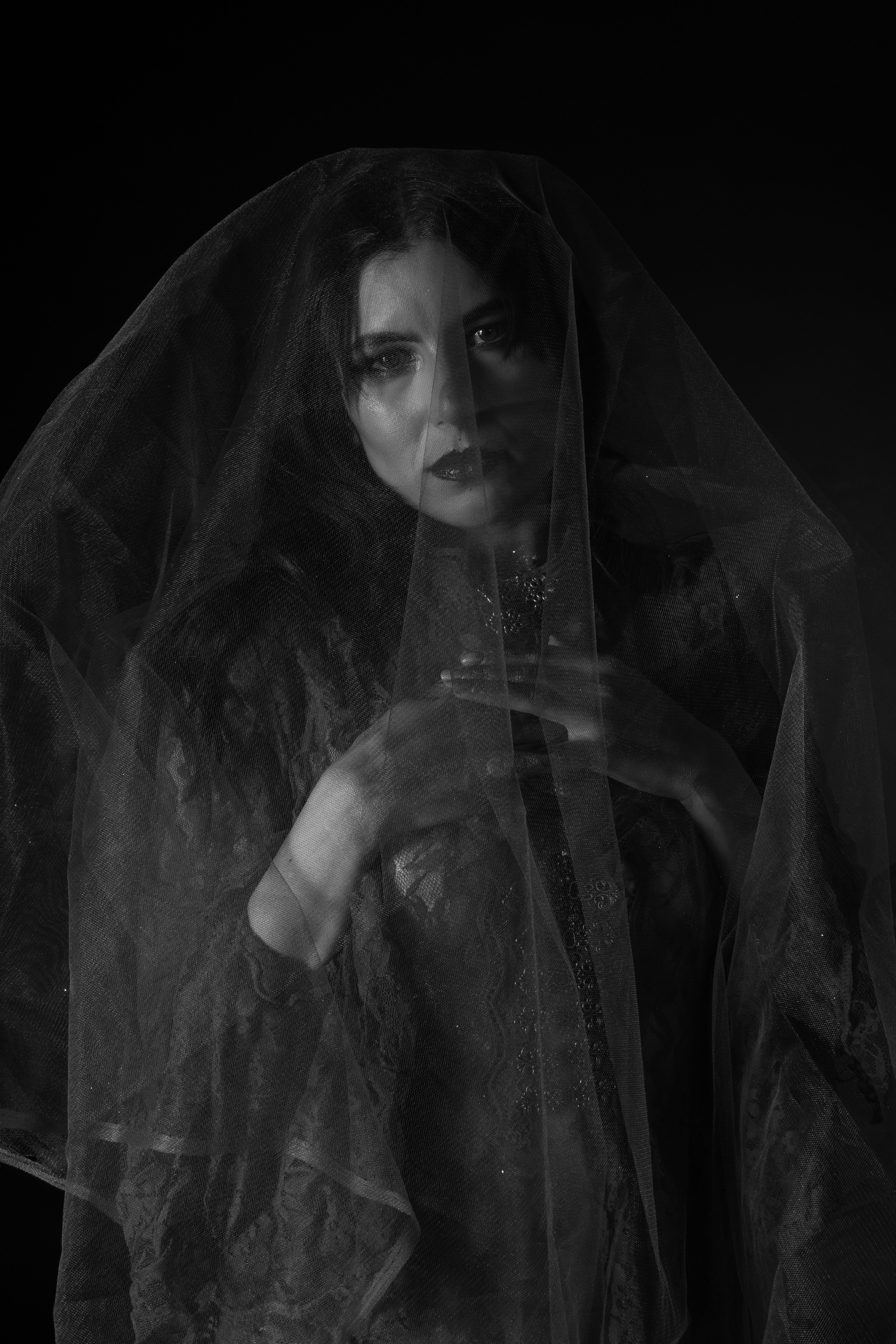 Mysterious Woman in Veil Black and White Portrait · Free Stock Photo