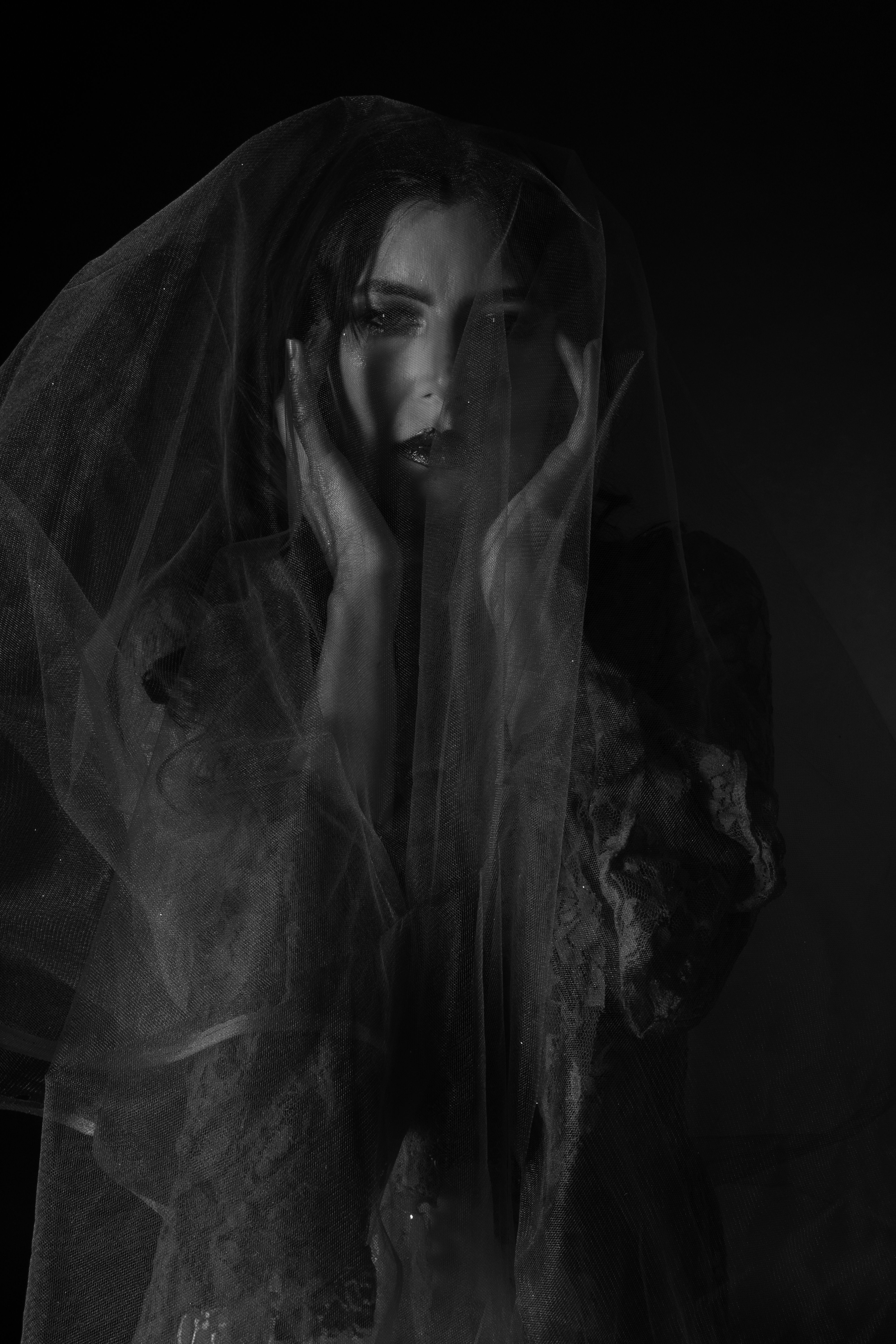 Moody Black and White Veil Portrait · Free Stock Photo