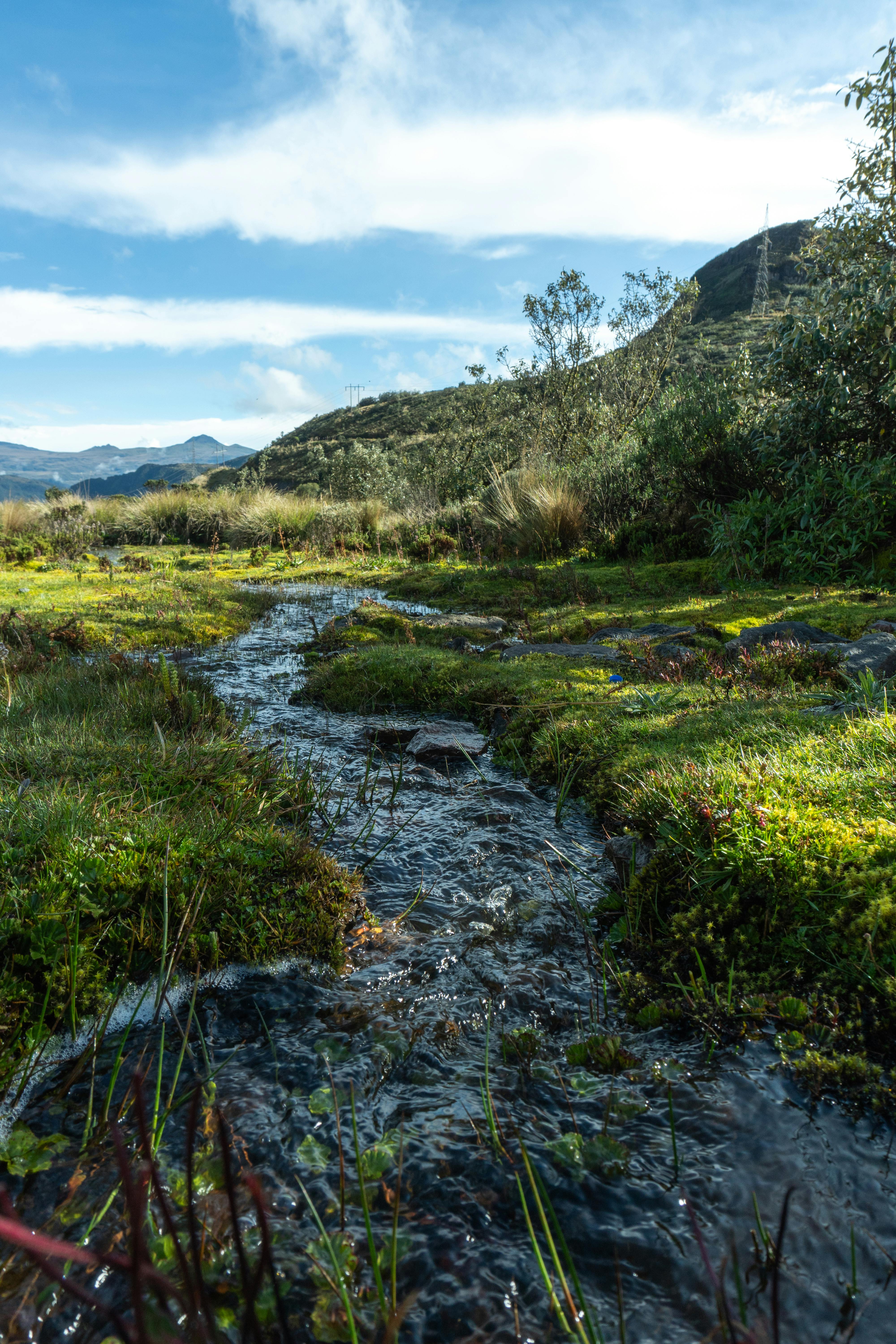 A tranquil mountain stream flows through lush greenery under a clear blue sky.