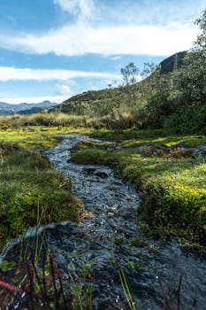 A tranquil mountain stream flows through lush greenery under a clear blue sky.
