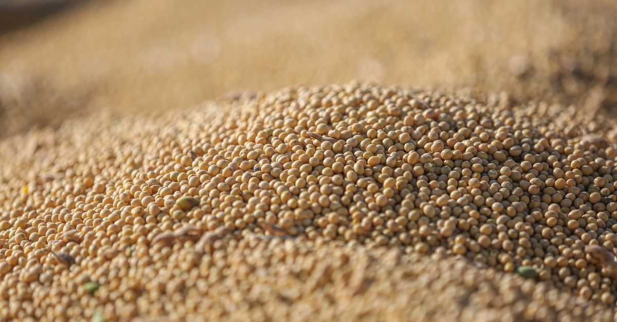 Silver and Europe Container Freight Lead Commodity Selloff as Chinese Futures Turn Lower