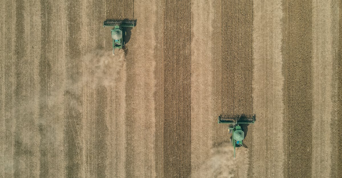 美國黃豆出口協會攜手大醇豆 惠豐食品 推廣綠色生活 豆陣永續迺夜市 熱鬧開張