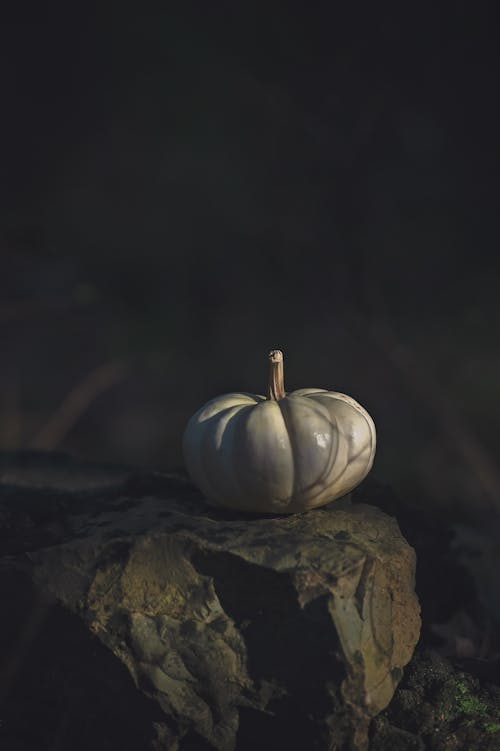 Безкоштовне стокове фото на тему «гарбуз, осінь, падати»