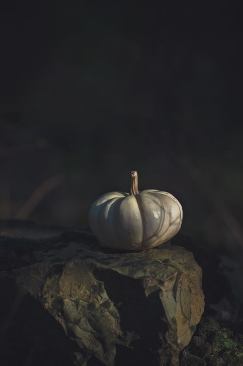 Free stock photo of autumn, fall, halloween Stock Photo