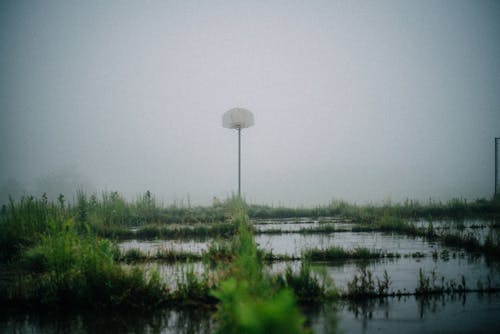 Gewässer Mit Gras Umgeben