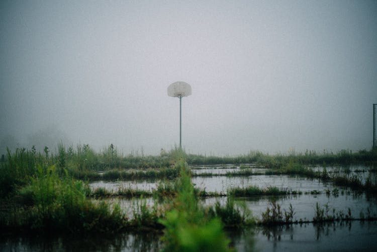 Body Of Water Surrounded With Grass