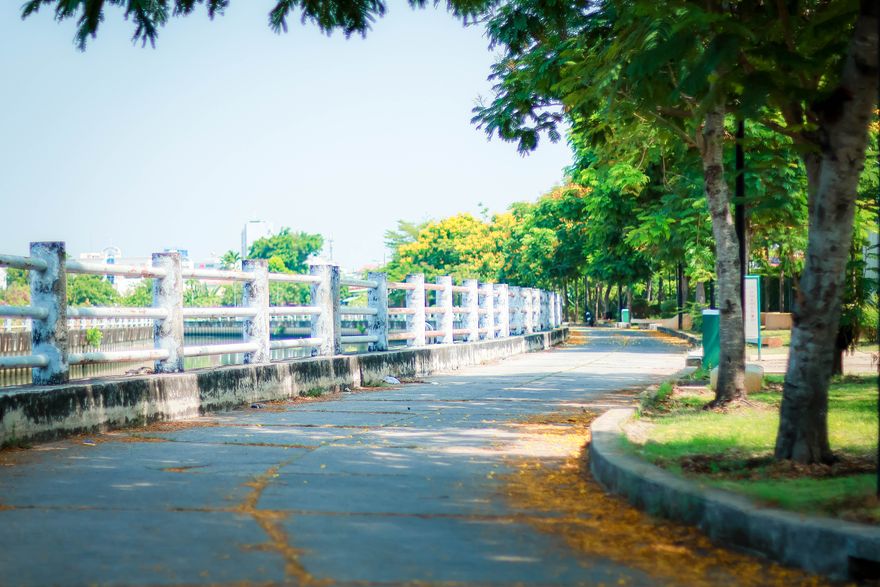 Shaded walkway through summer park trees, photo by Nguyen Tien Thinh on Pexels