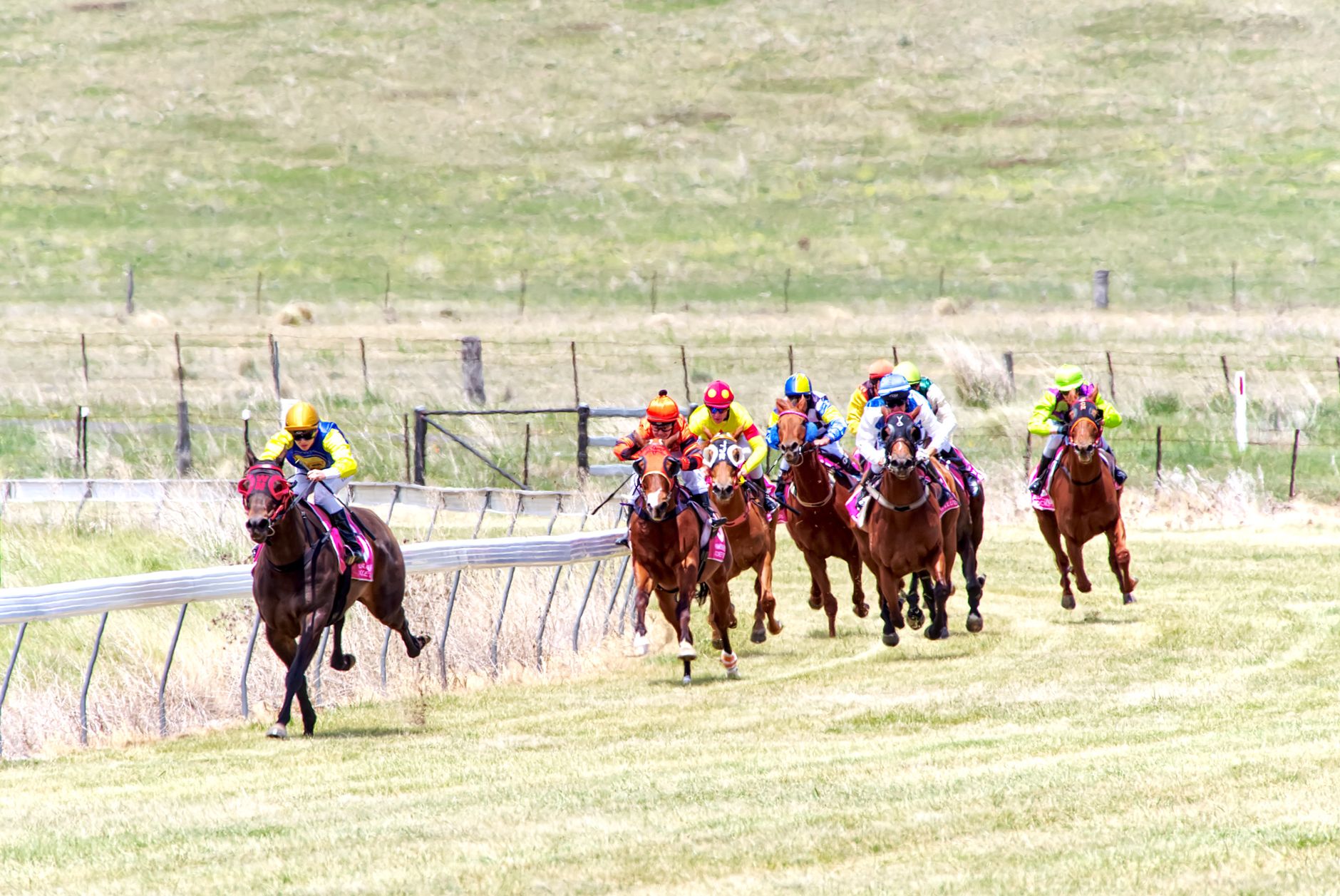 Exciting horse race with jockeys in colorful attire on a grass track.
