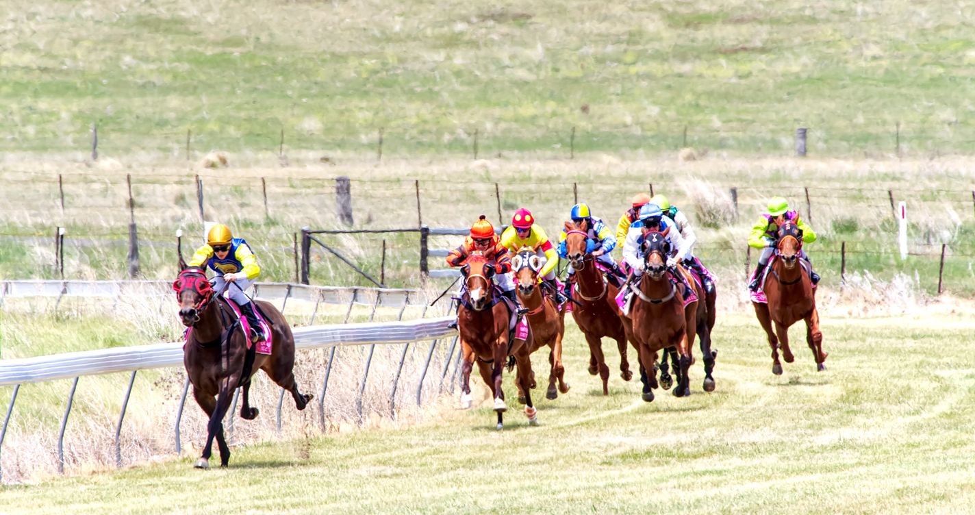 Peloton de chevaux de course et jockeys en casaques colorées lancés sur une piste en herbe