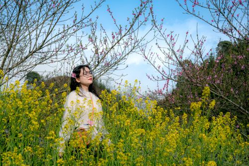 Free A woman enjoys spring blossoms in a Hà Giang flower field, Vietnam. Stock Photo