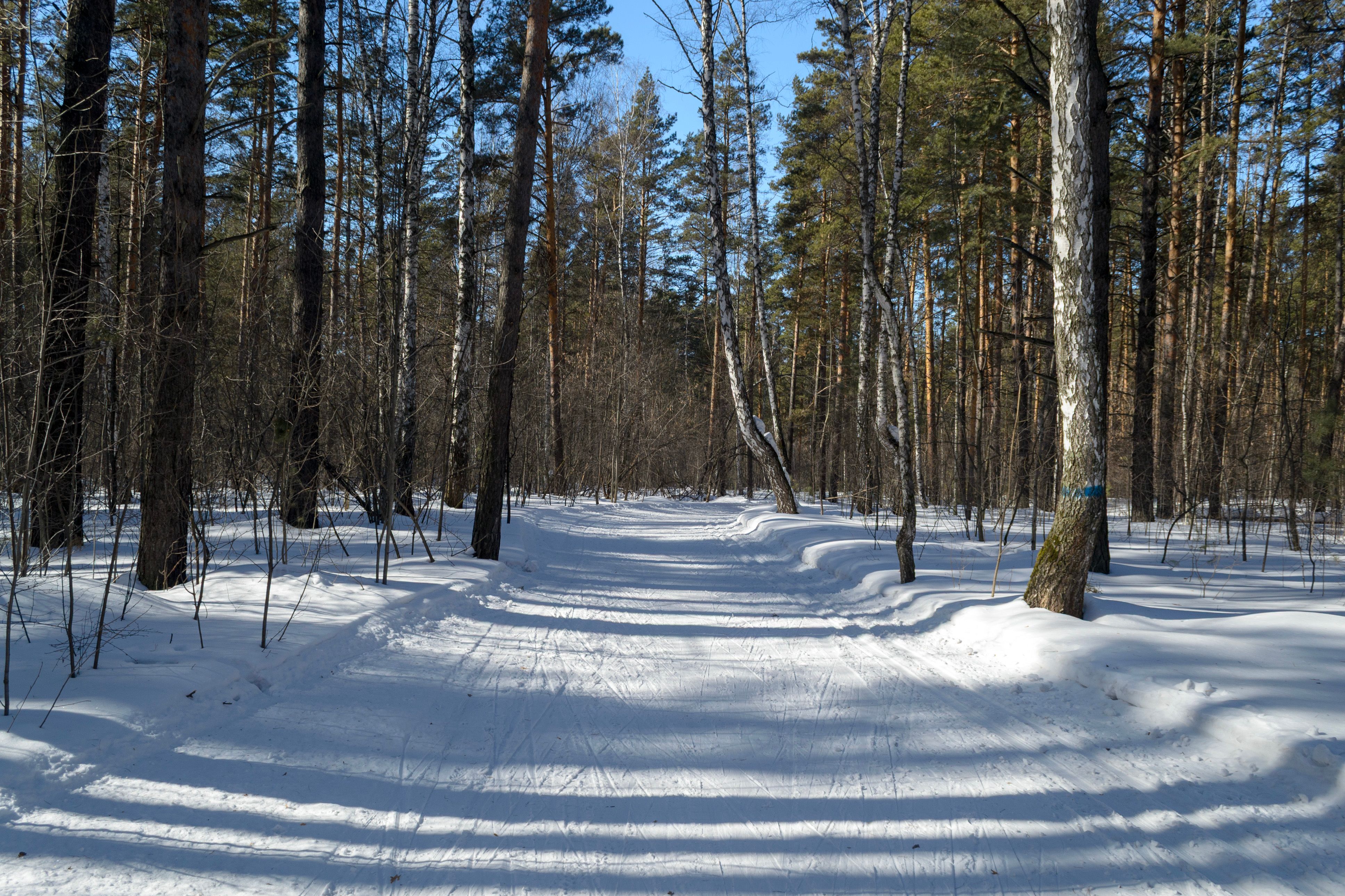 Talvinen auringonvalo ja hyvinvointi