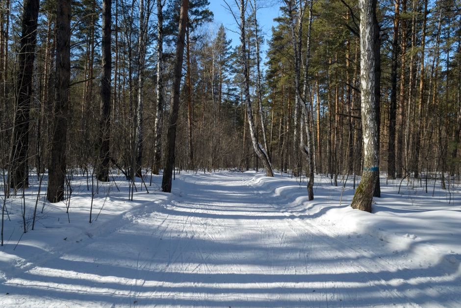 Paras vegaaninen D-vitamiini – 3 vaihtoehtoa 11 Talvinen auringonvalo ja hyvinvointi
