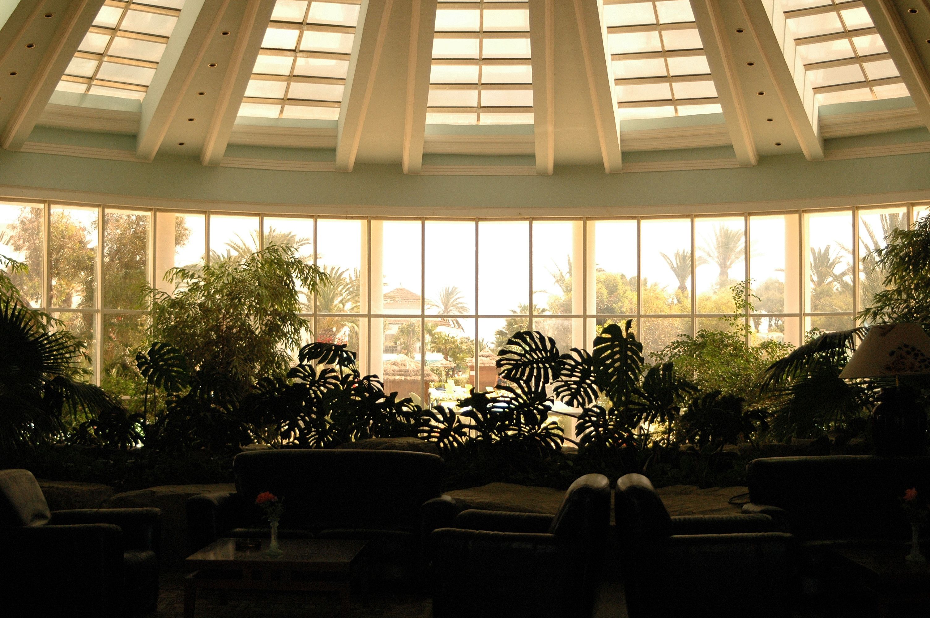 A serene indoor atrium featuring large windows, lush plants, and cozy seating.