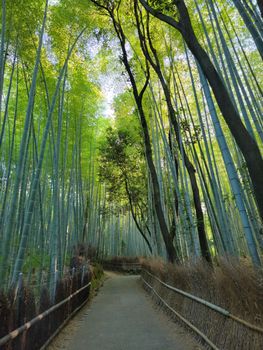 Ruhiges Bambuswald in Kyoto – Anime-Look Hintergrundbild