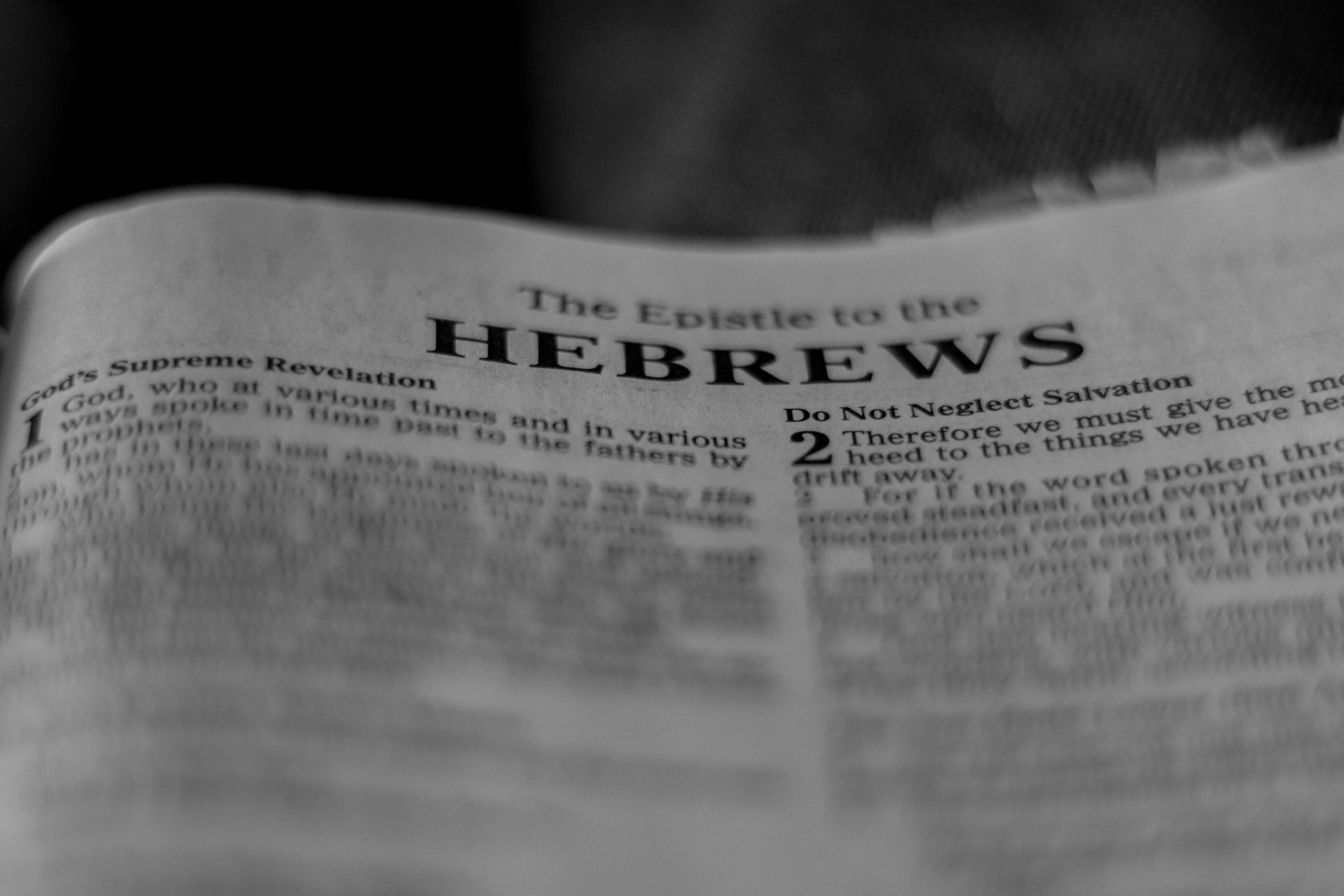 Black and white close-up of Hebrews chapter in a Bible, focused on text.