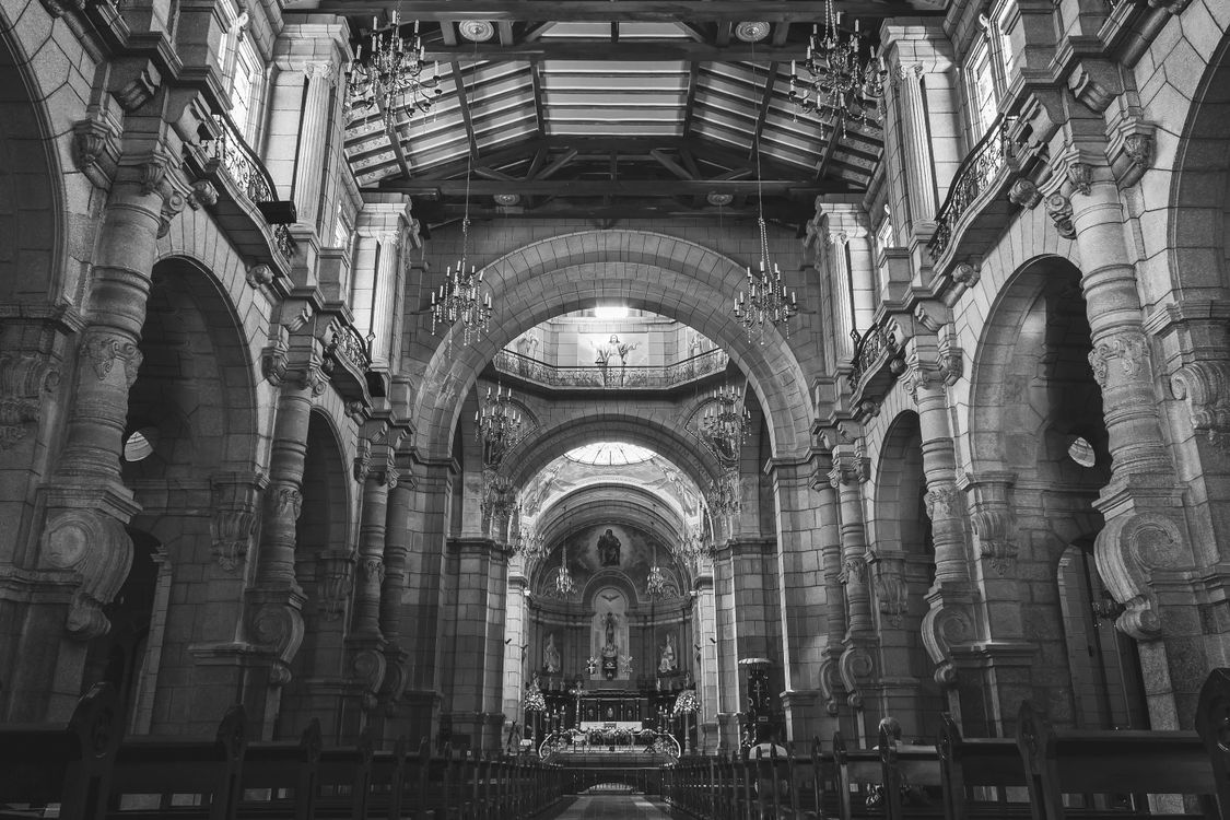 Monochrome Gothic Cathedral Interior with Vaulted Ceilings · Free Stock ...
