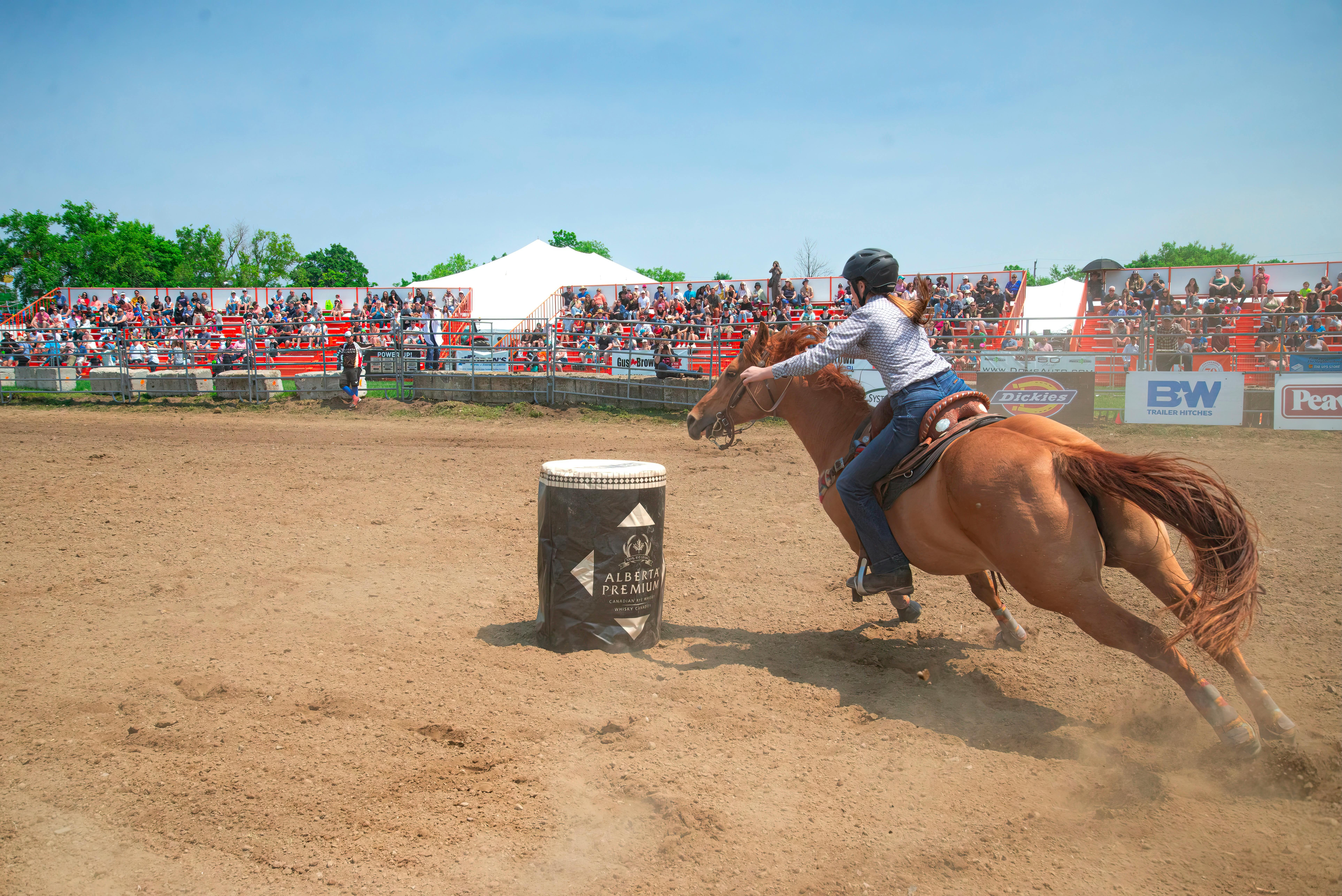 Outdoor shows slated soon in Harrisburg, Clearfield, Pittsburgh, Erie - Erie Times — Photo by @coldbeer on Pexels