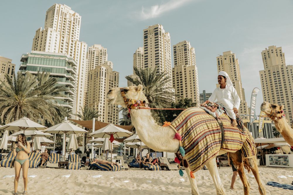 Camel ride at Dubai Marina